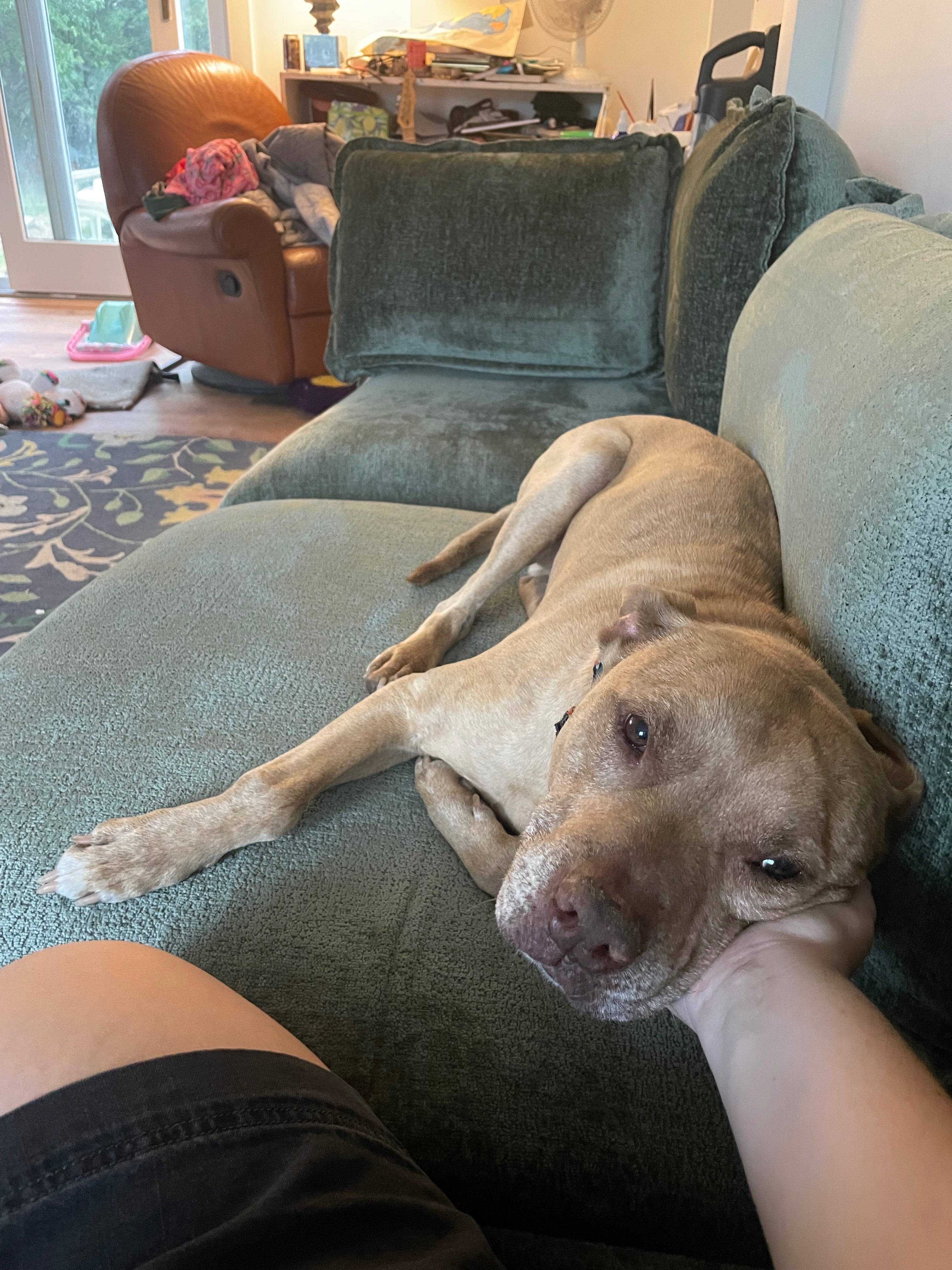 Help Bruce Get His Knee Surgery campaign photo, 2 of 8