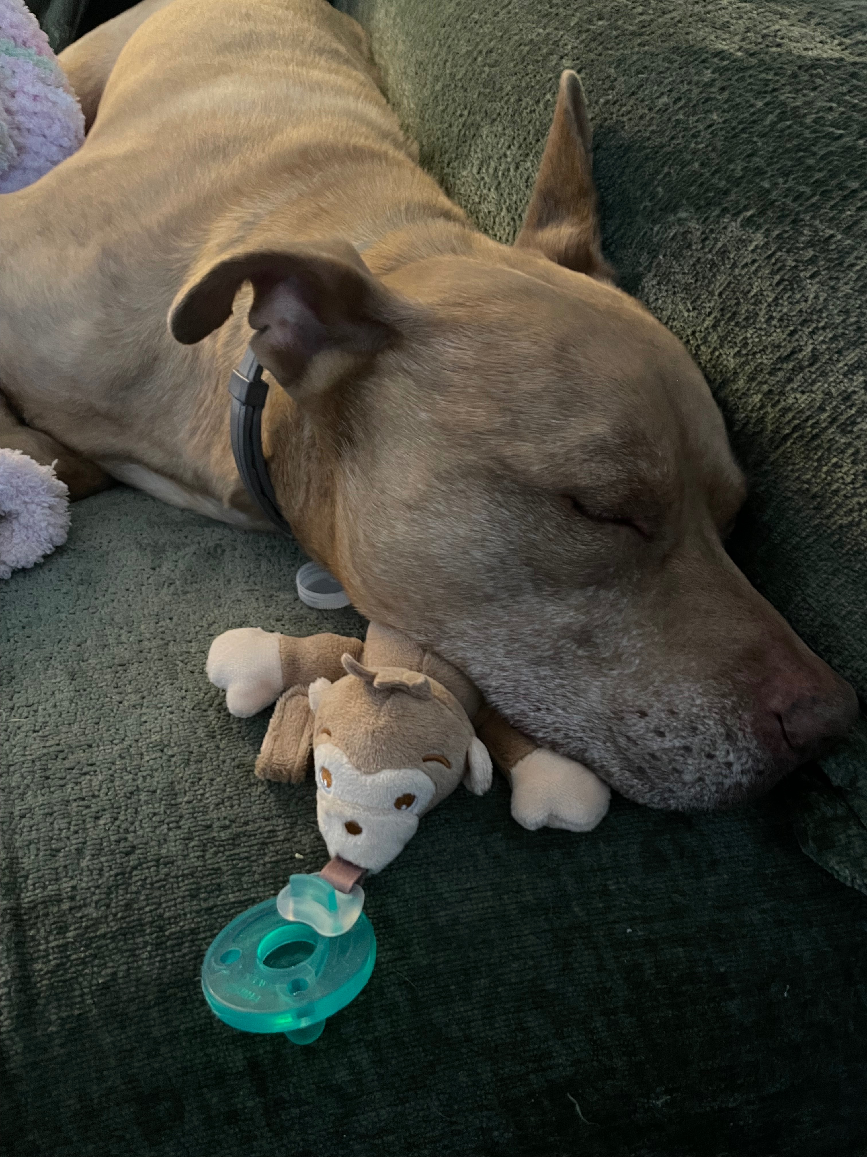 Help Bruce Get His Knee Surgery campaign photo, 4 of 8
