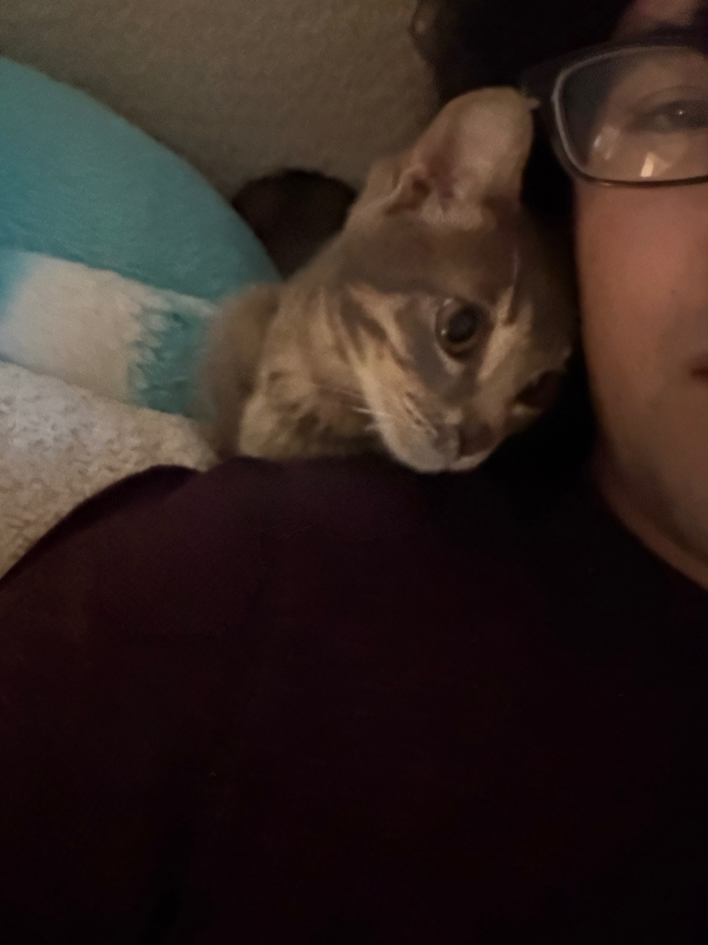 Help Smokie Get Urgent Care campaign photo, 2 of 4