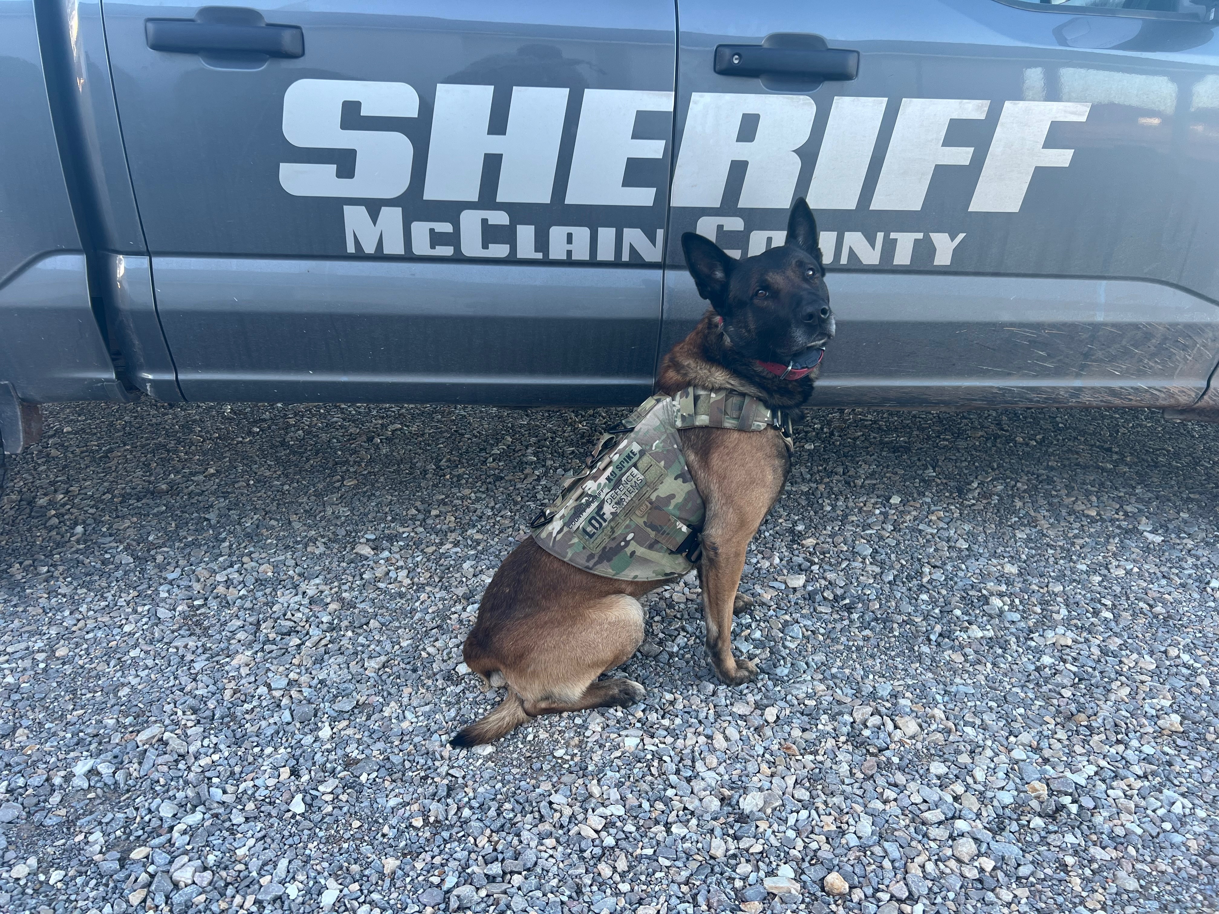 Support K9 Spike’s Medical Care in Retirement campaign photo, 2 of 8