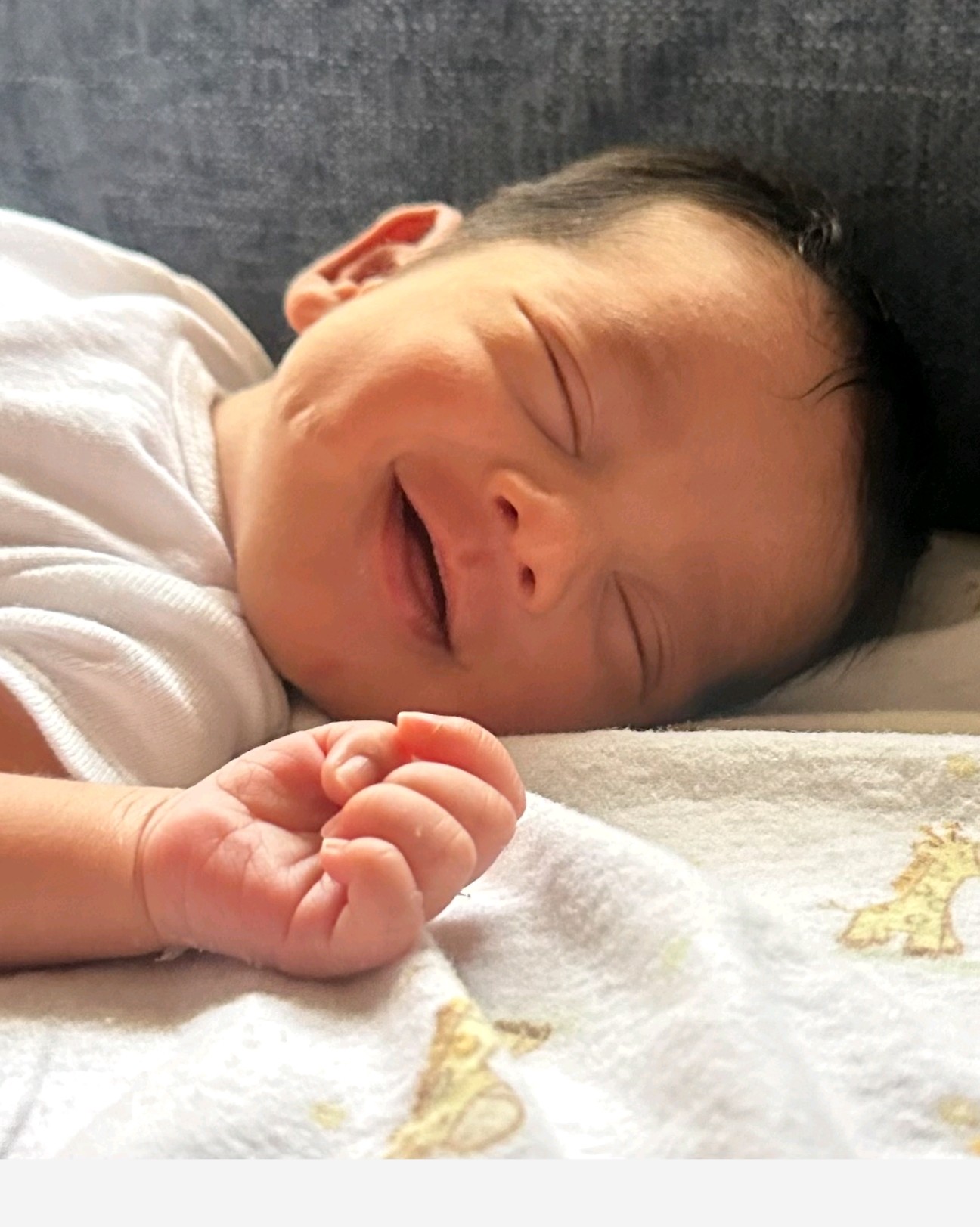 Help Three Miracles, One Incredible Family campaign photo, 10 of 13