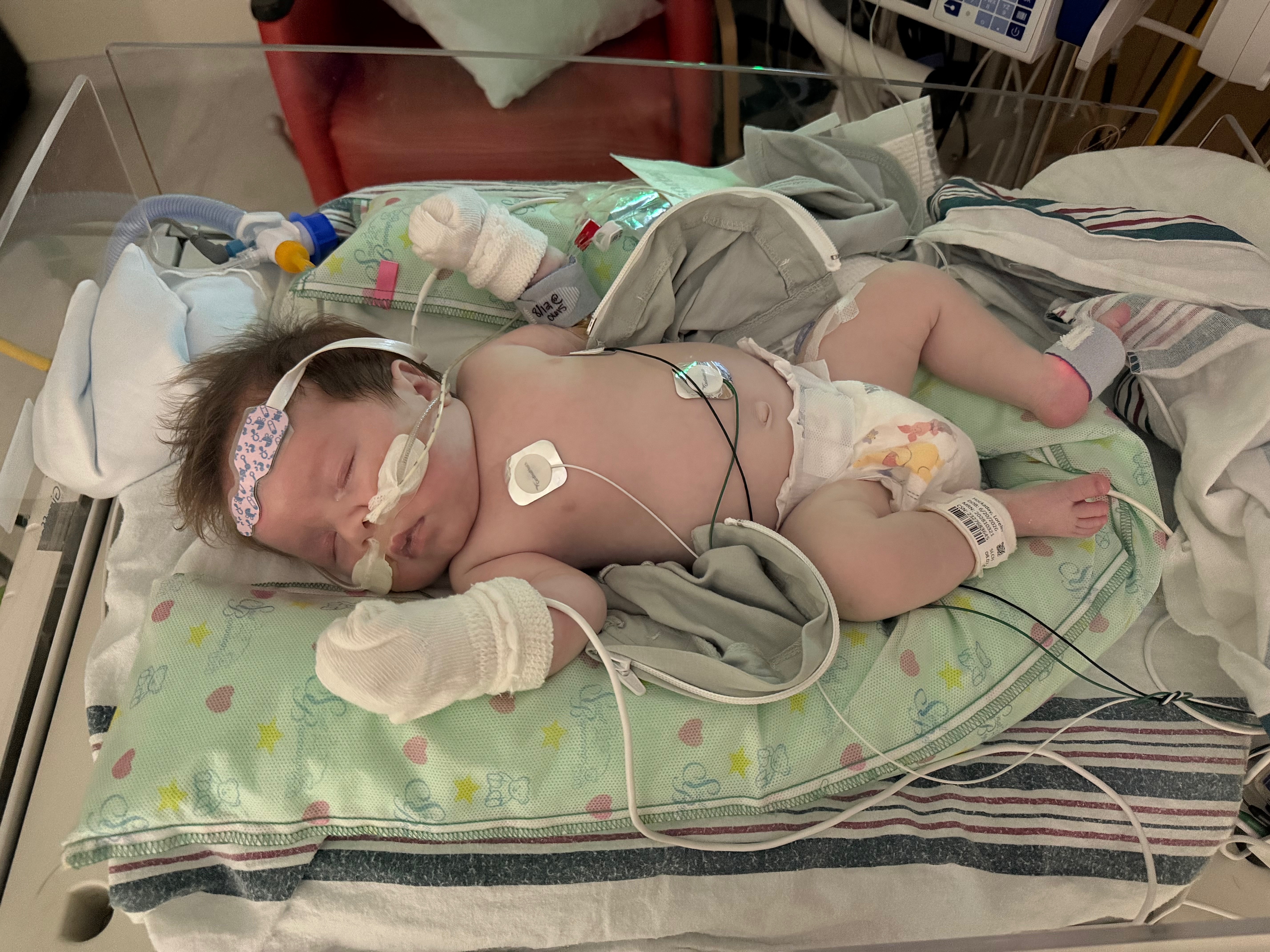 Help Lorelei's Family Through Her Lung Transplant Journey campaign photo, 4 of 5