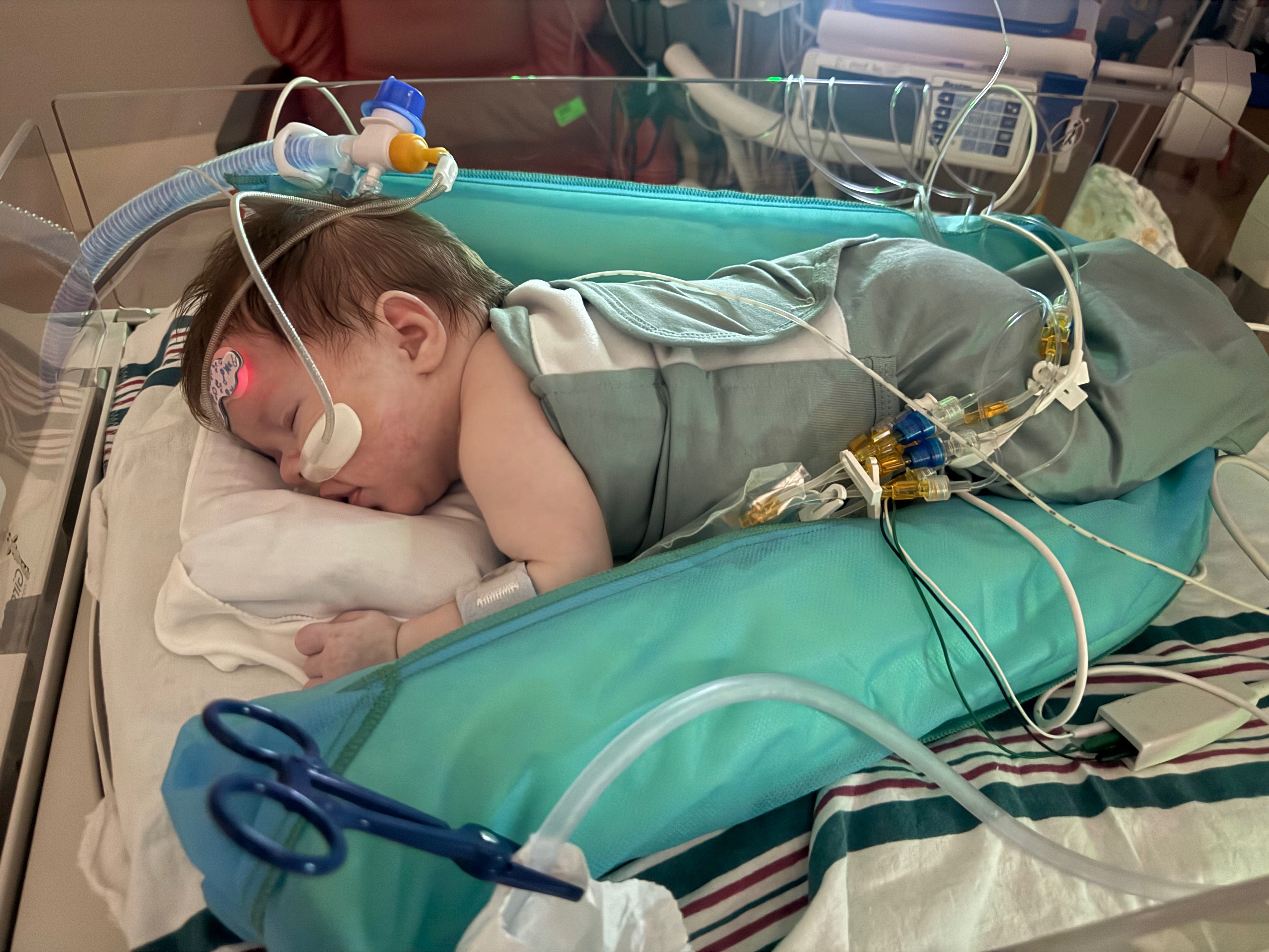 Help Lorelei's Family Through Her Lung Transplant Journey campaign photo, 2 of 5