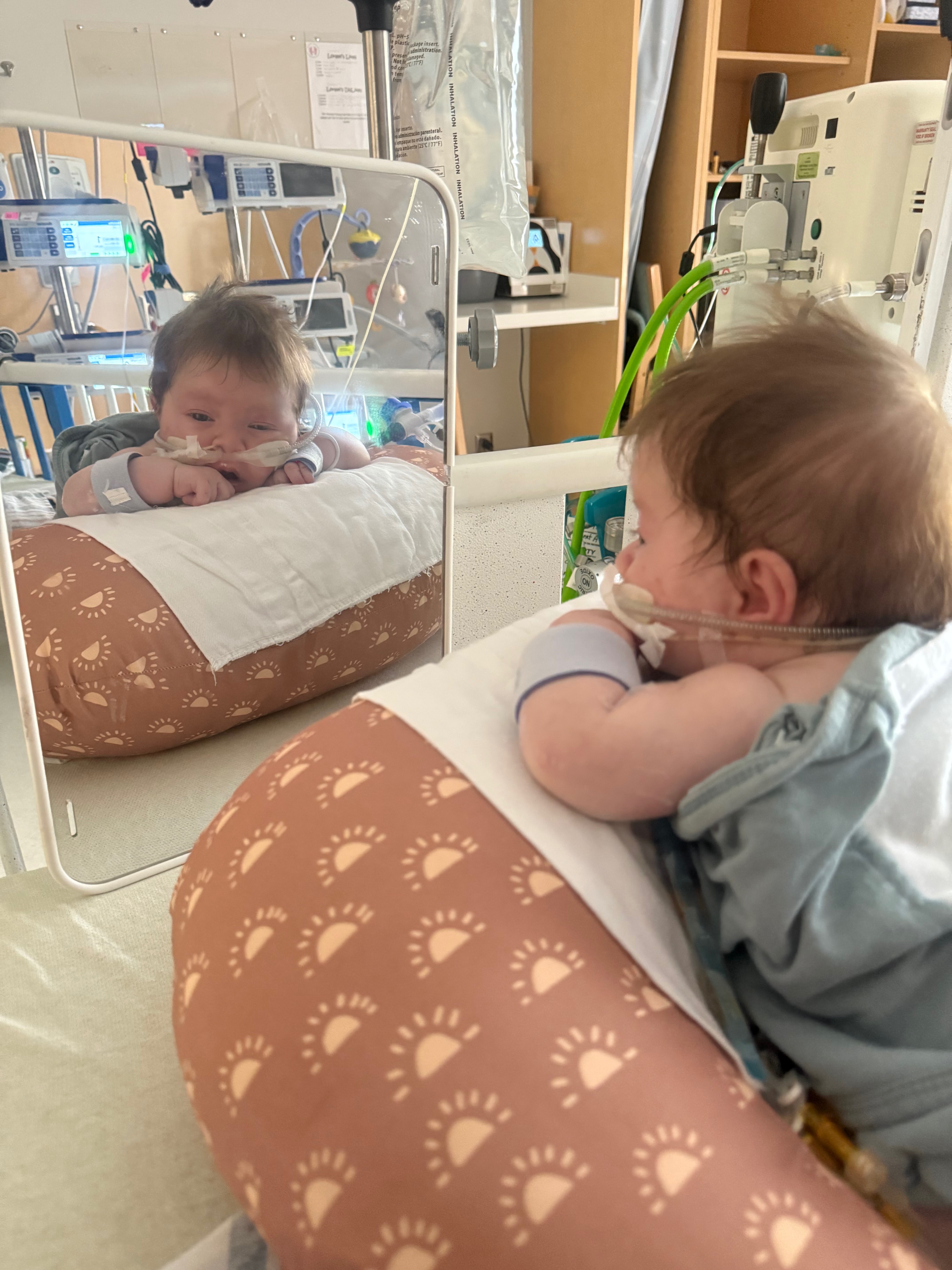 Help Lorelei's Family Through Her Lung Transplant Journey campaign photo, 5 of 7