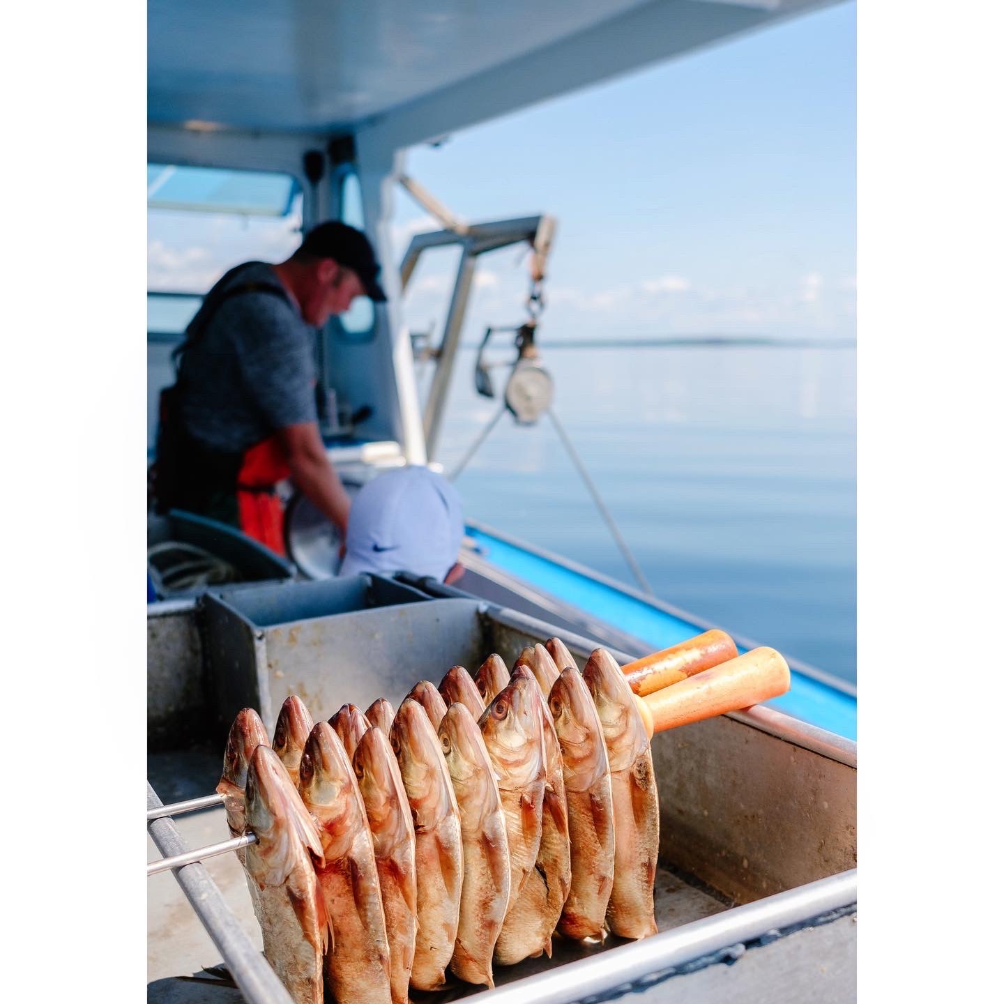 A Miracle for a Maine Lobsterman campaign photo, 7 of 8