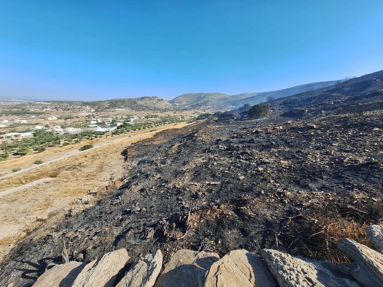 Photo de la campagne Aidez-moi à replanter la nature brûlée de l'île de Paros !, 2 sur 5