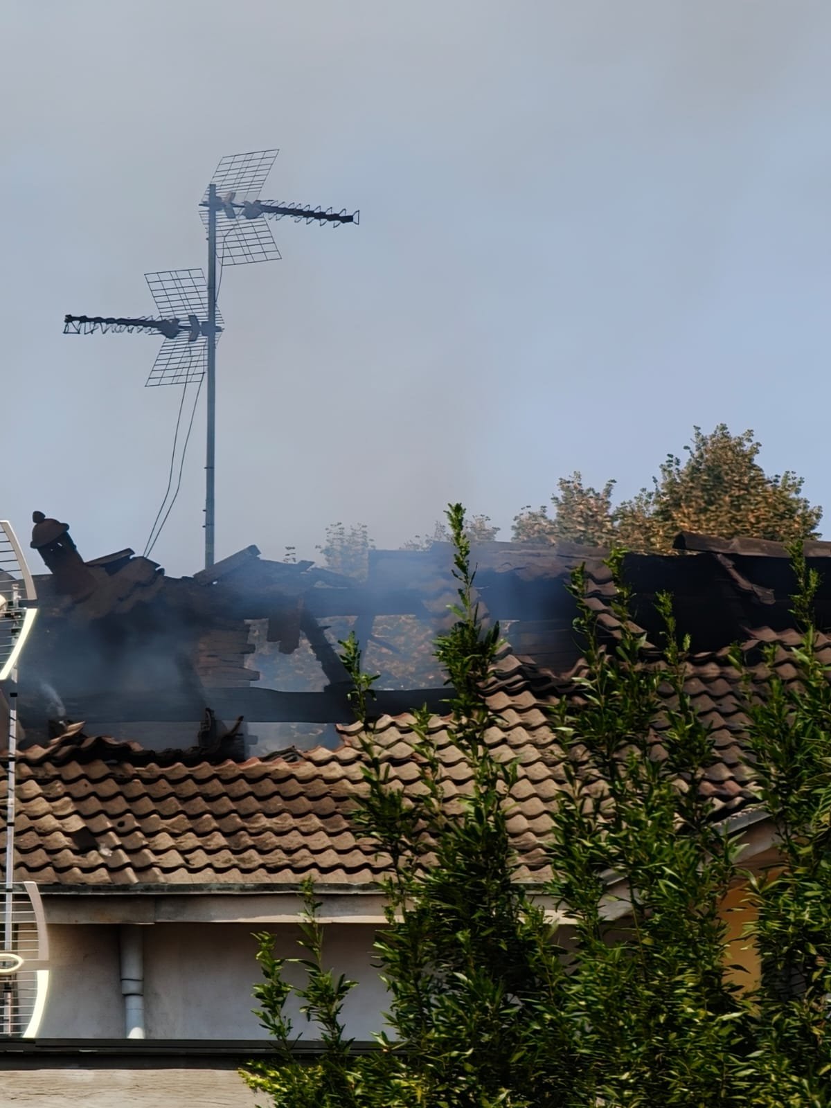 Quando il fuoco porta via tutto, resta la forza di riniziare campaign photo, 7 of 8