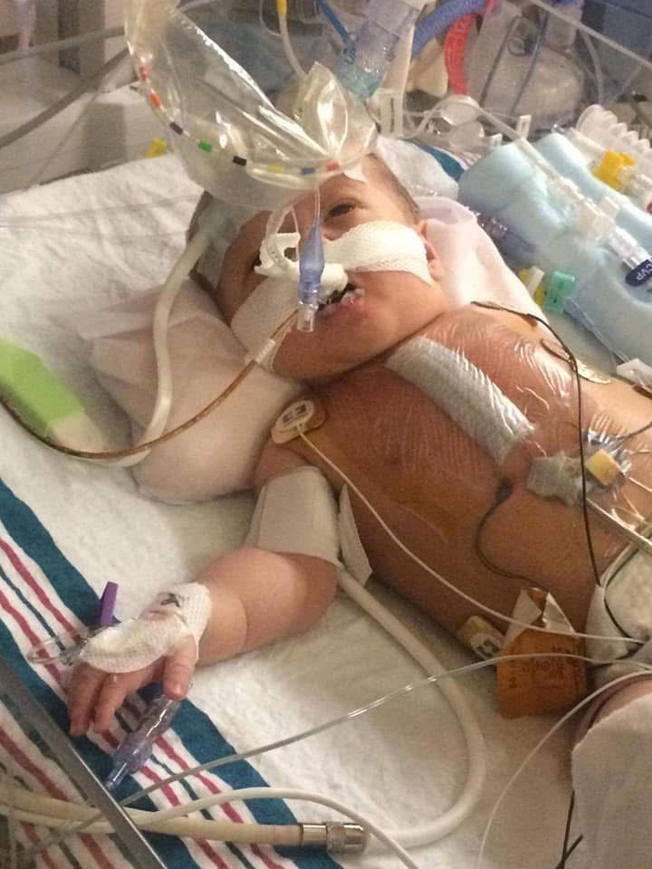 Support Taylor’s Heart Transplant Journey campaign photo, 2 of 8