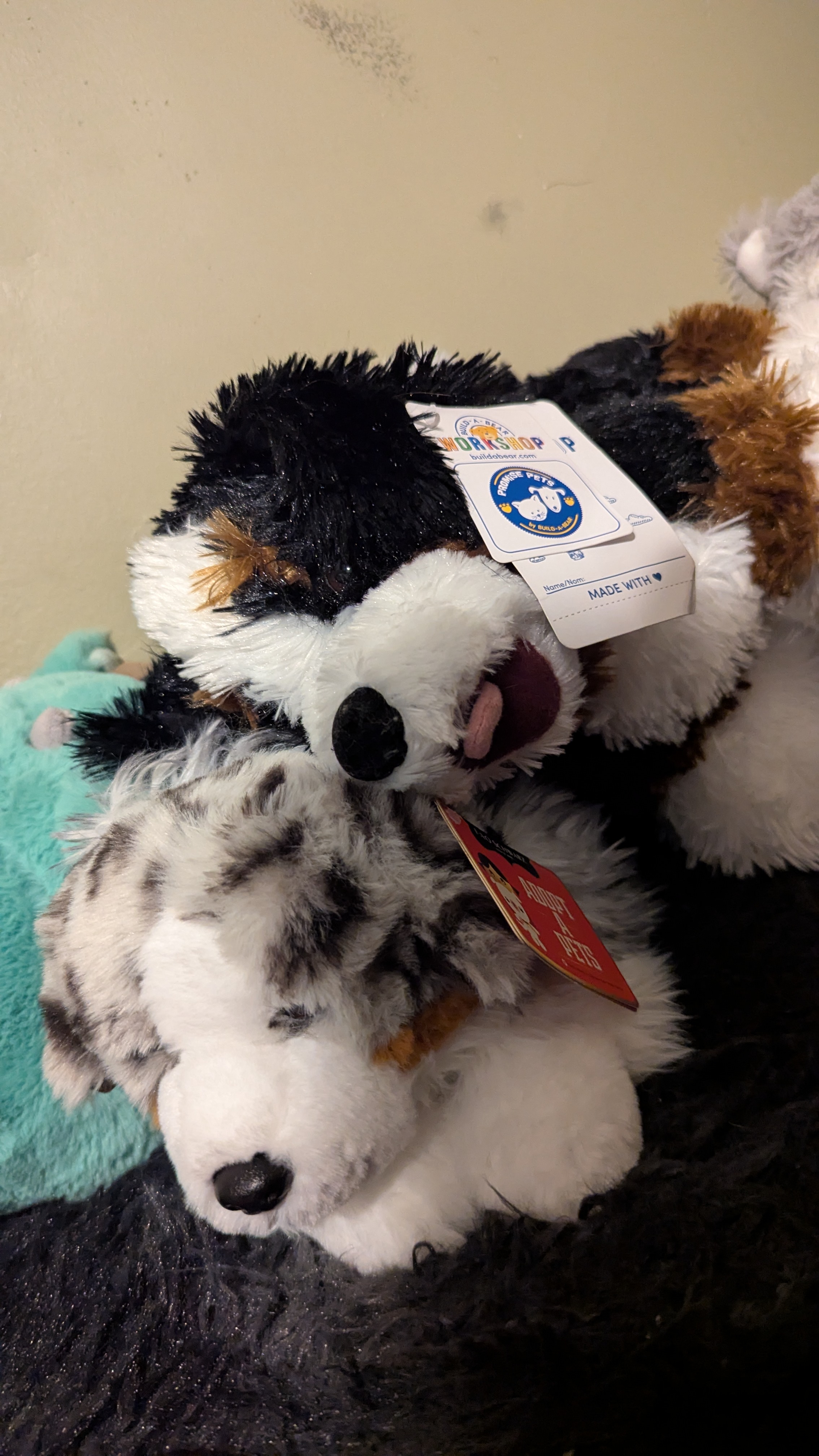 Help Willow Relocate to Safety campaign photo, 5 of 7