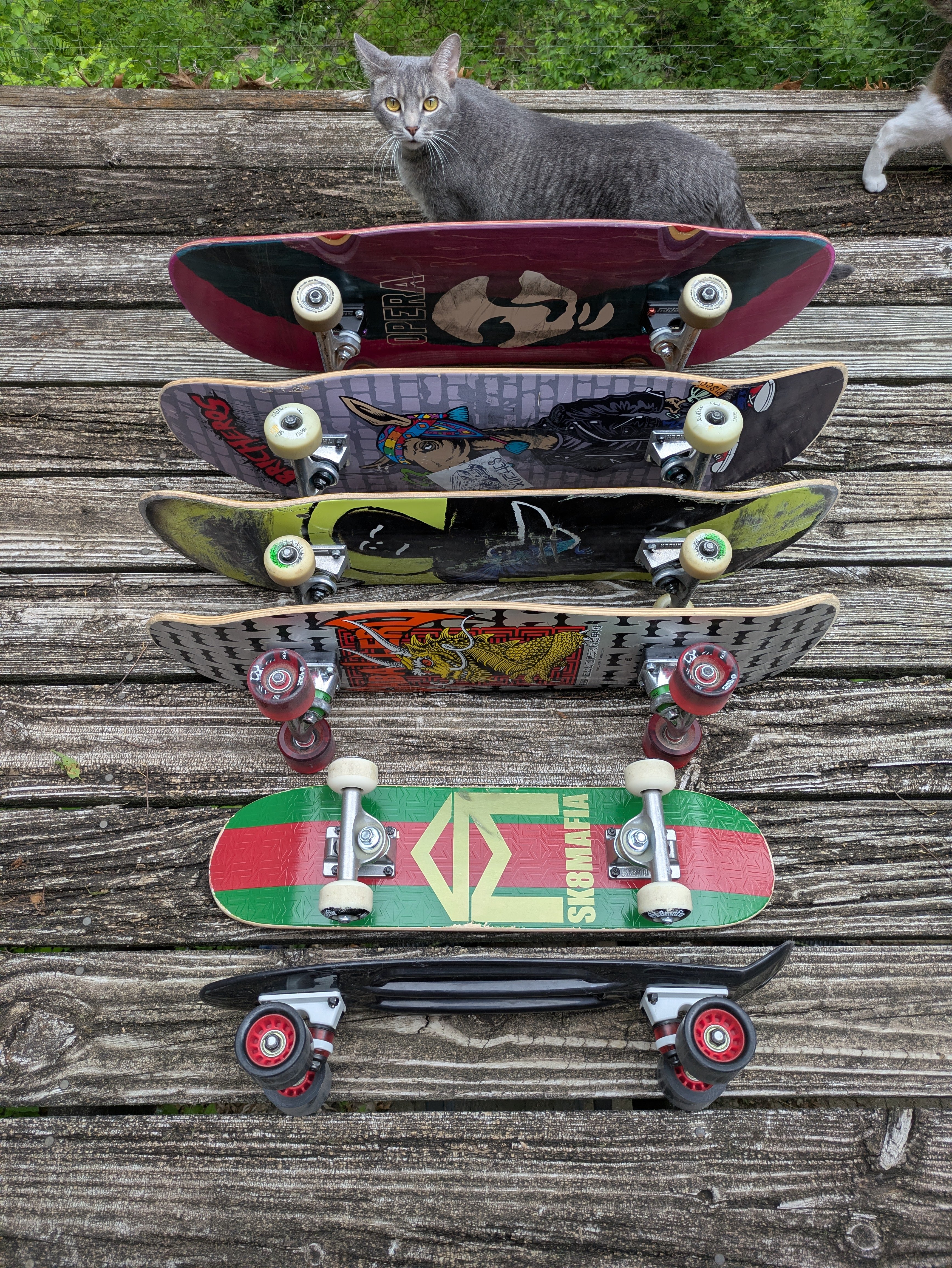 Start-up costs for "Rock and Skate Iowa" campaign photo, 4 of 6