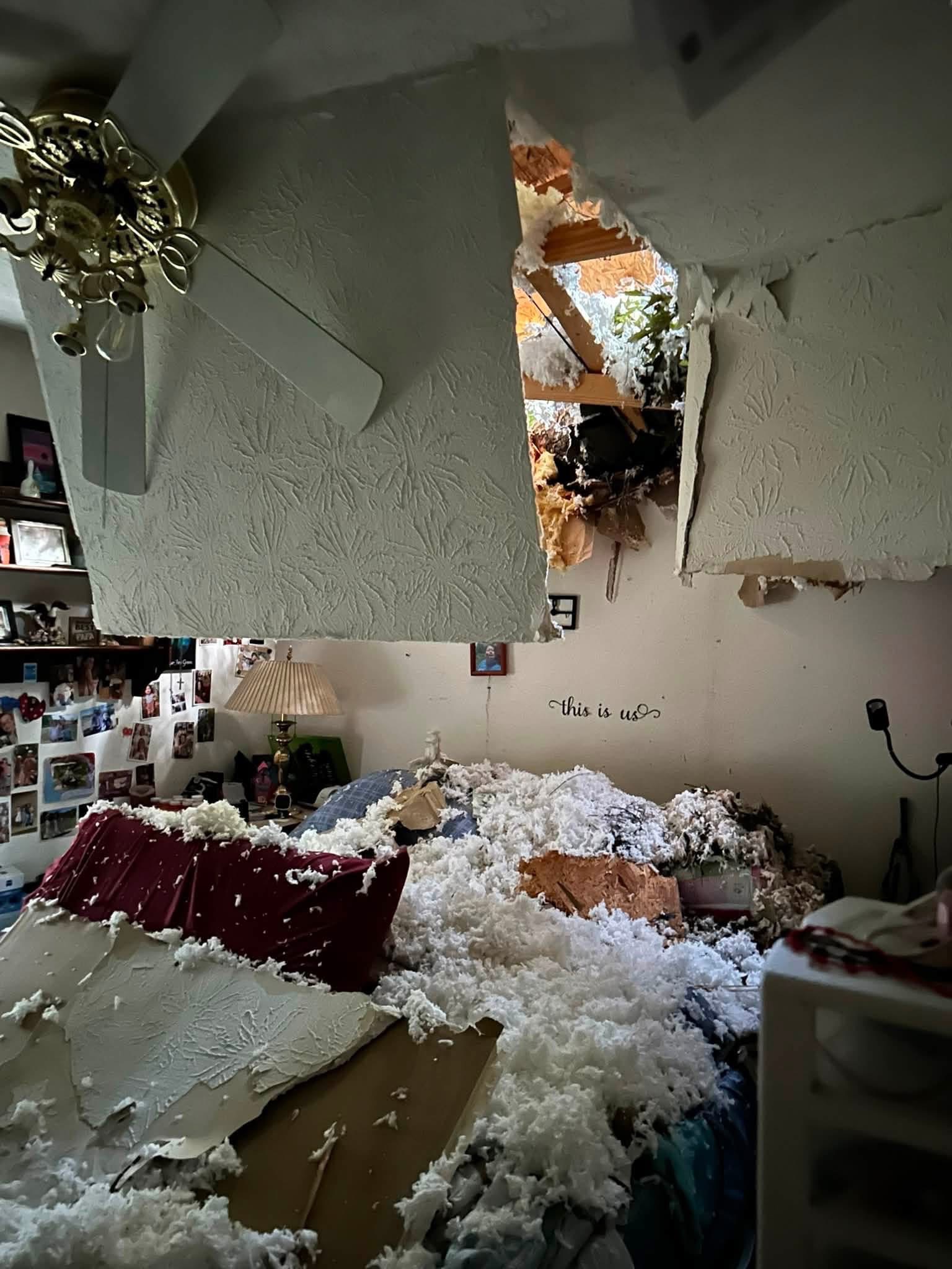 Support for Our Family Displaced by Tree Accident campaign photo, 2 of 8