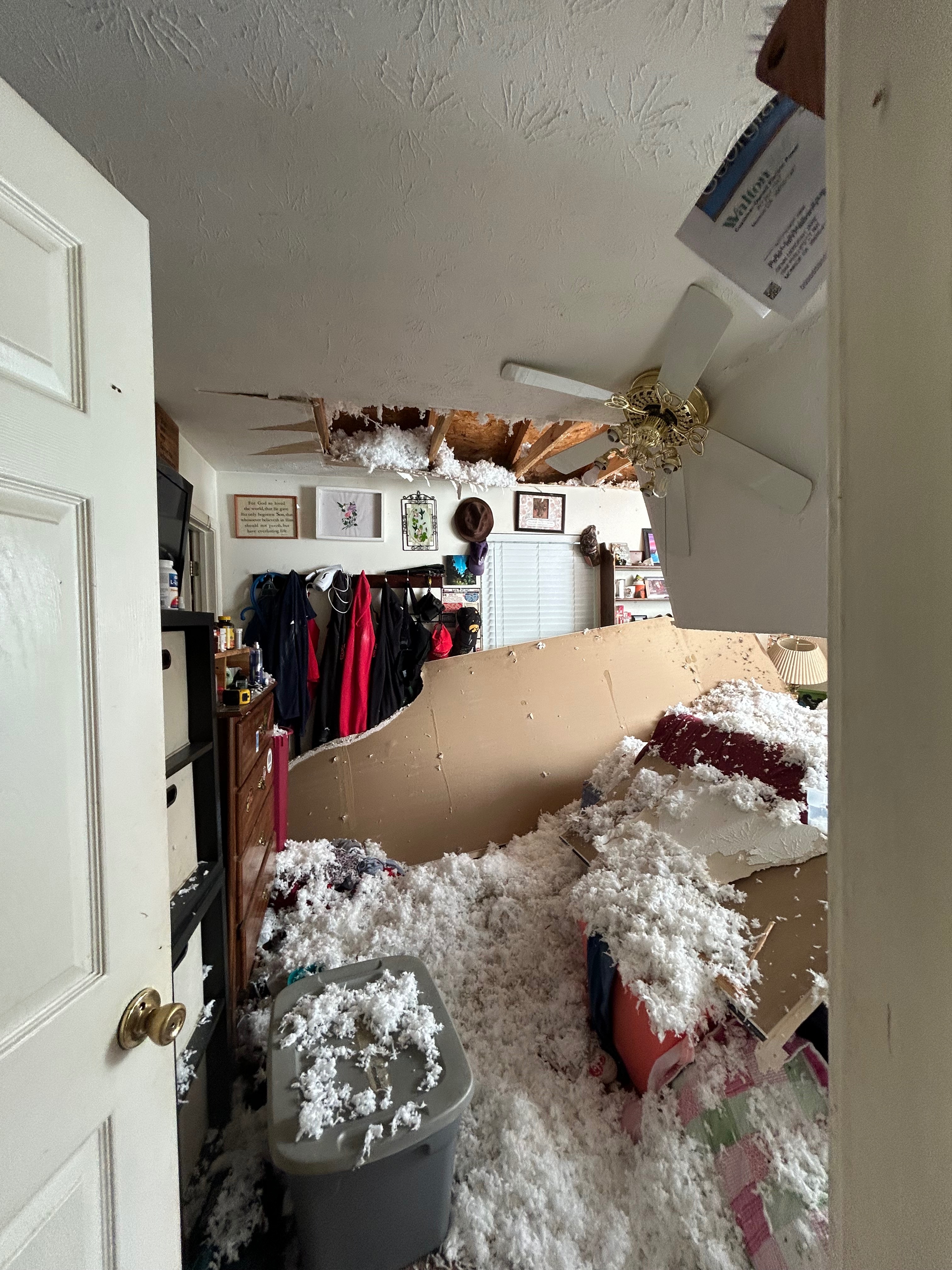 Support for Our Family Displaced by Tree Accident campaign photo, 6 of 8