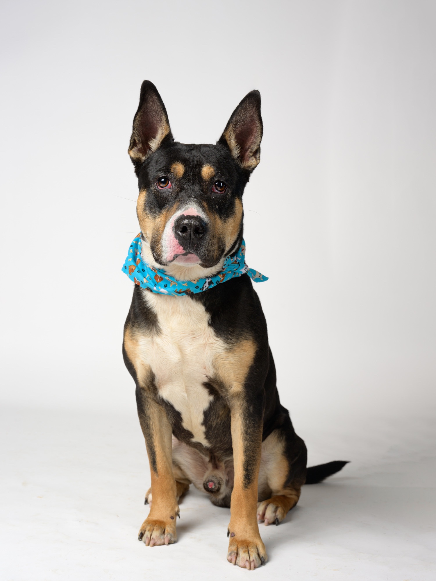 Help Chingy Get the Training He Needs campaign photo, 7 of 8