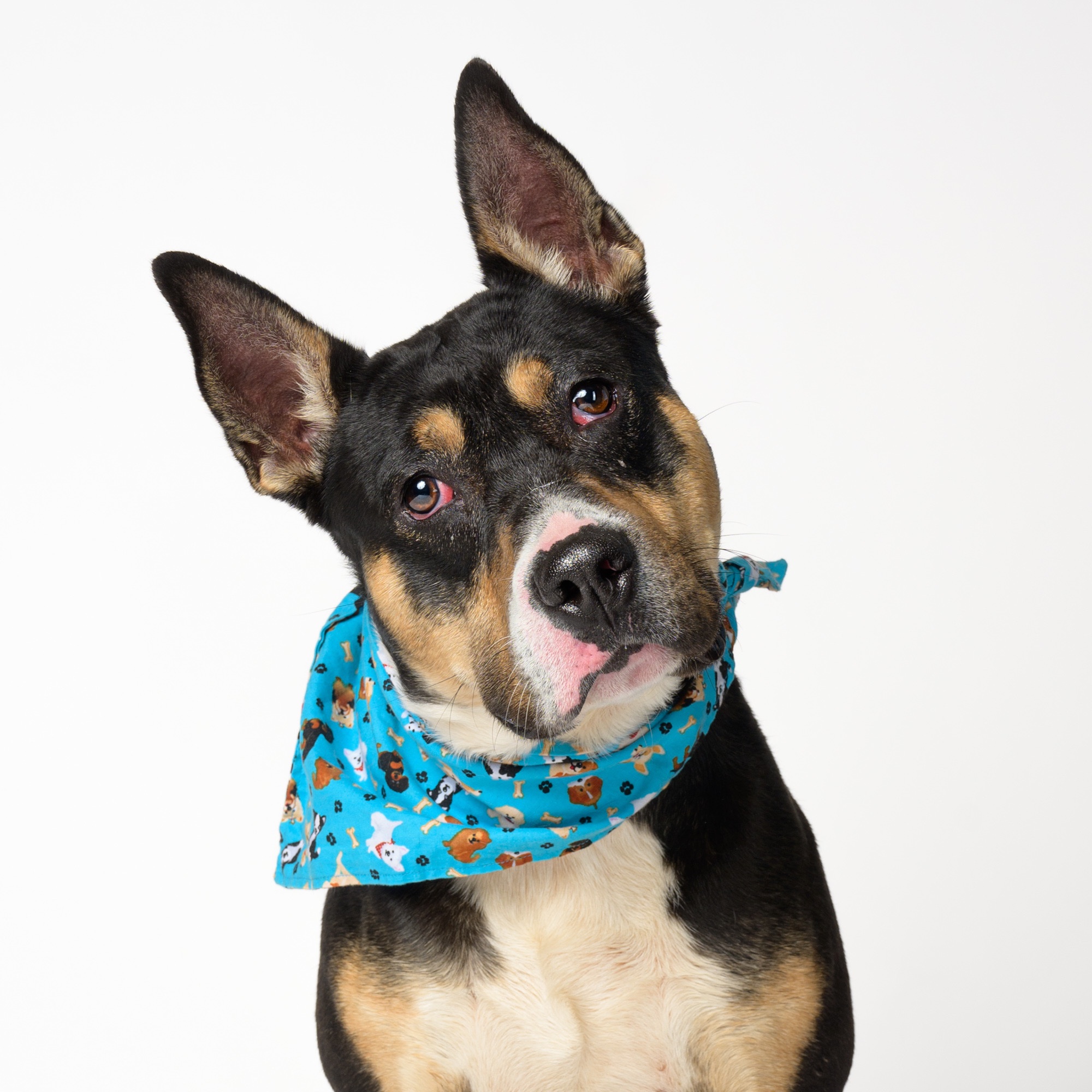 Help Chingy Get the Training He Needs campaign photo, 2 of 8