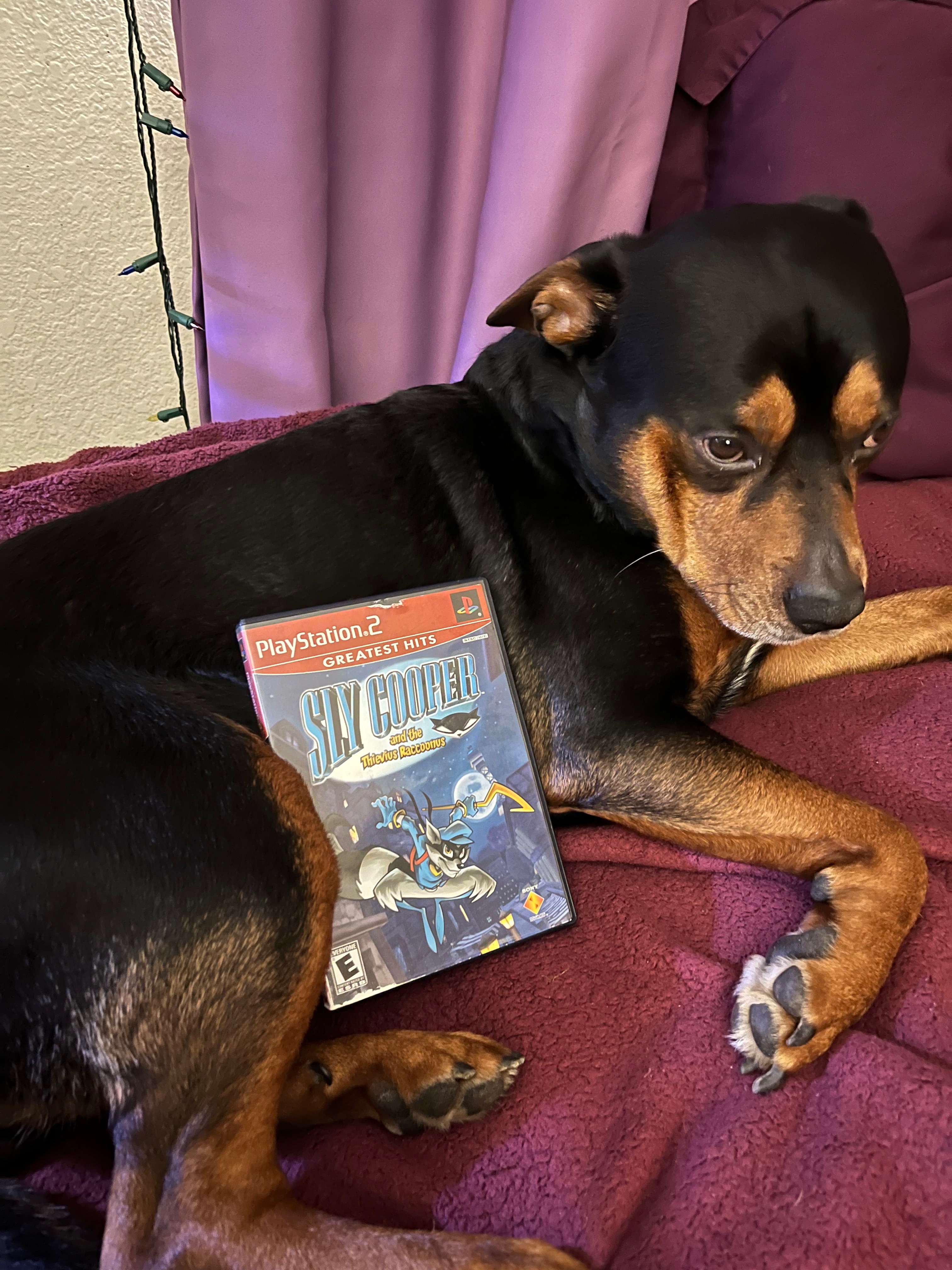 Help Tupac Get Bladder Surgery campaign photo, 2 of 8