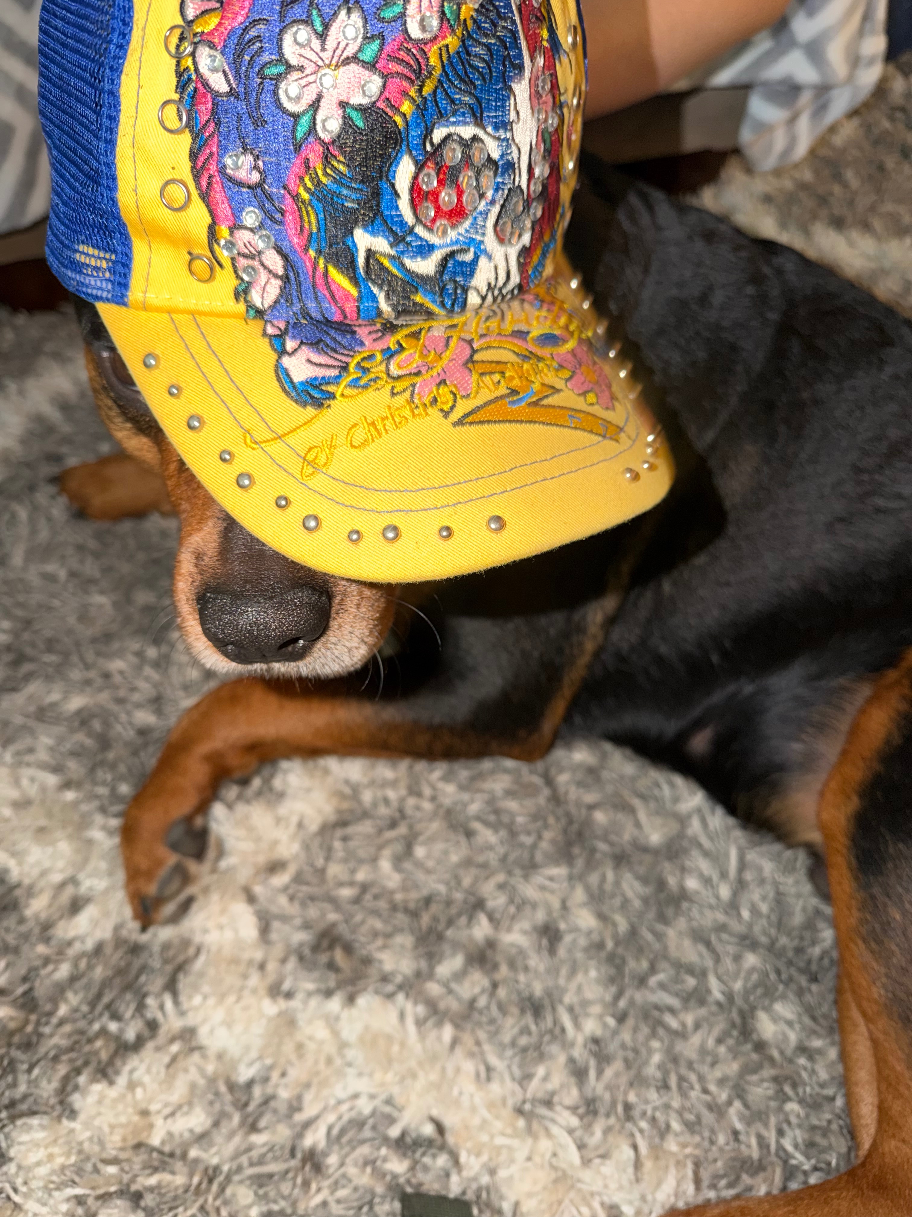 Help Tupac Get Bladder Surgery campaign photo, 5 of 8