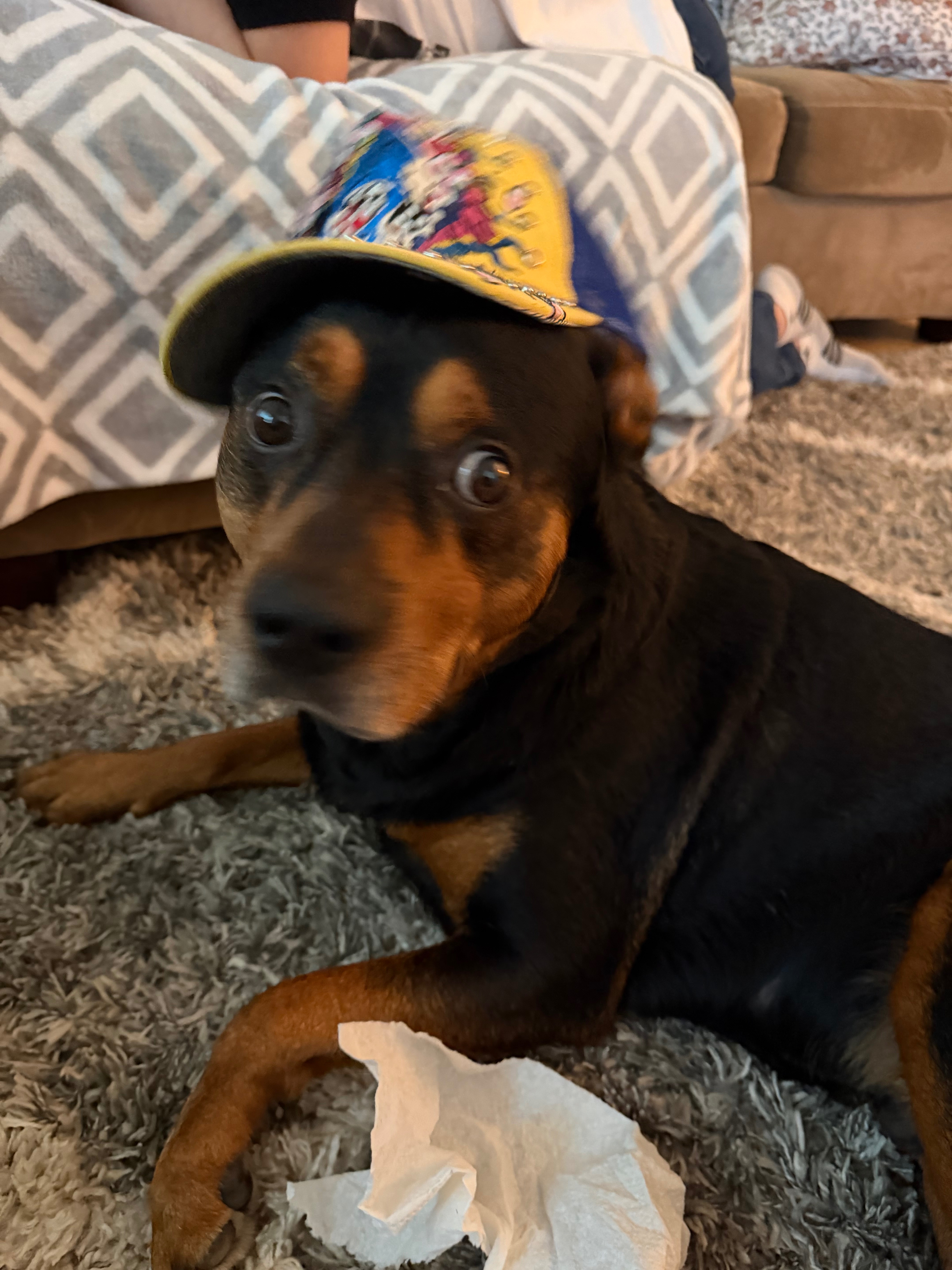 Help Tupac Get Bladder Surgery campaign photo, 6 of 8