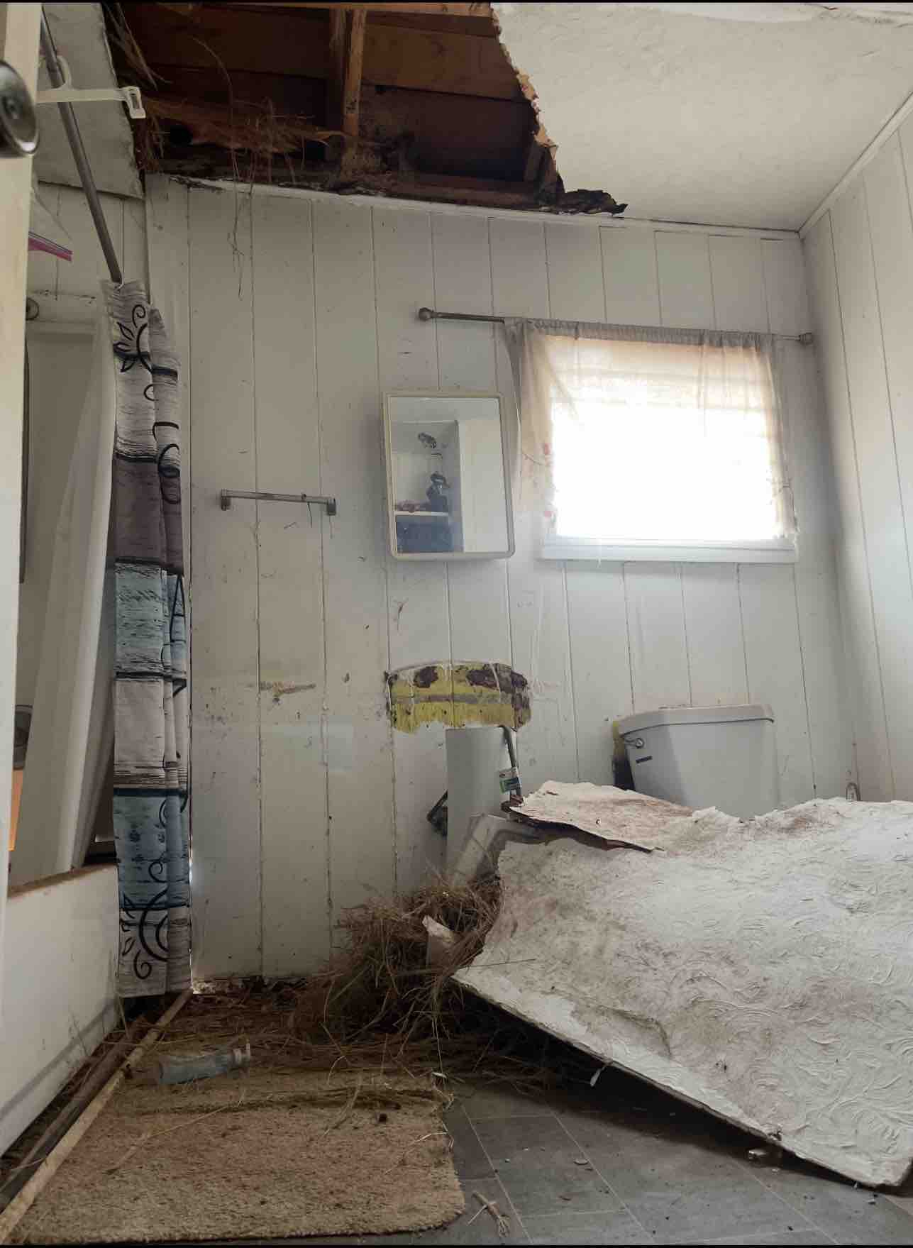Help Our ʻOhana Rebuild After Storm Damage campaign photo, 7 of 9