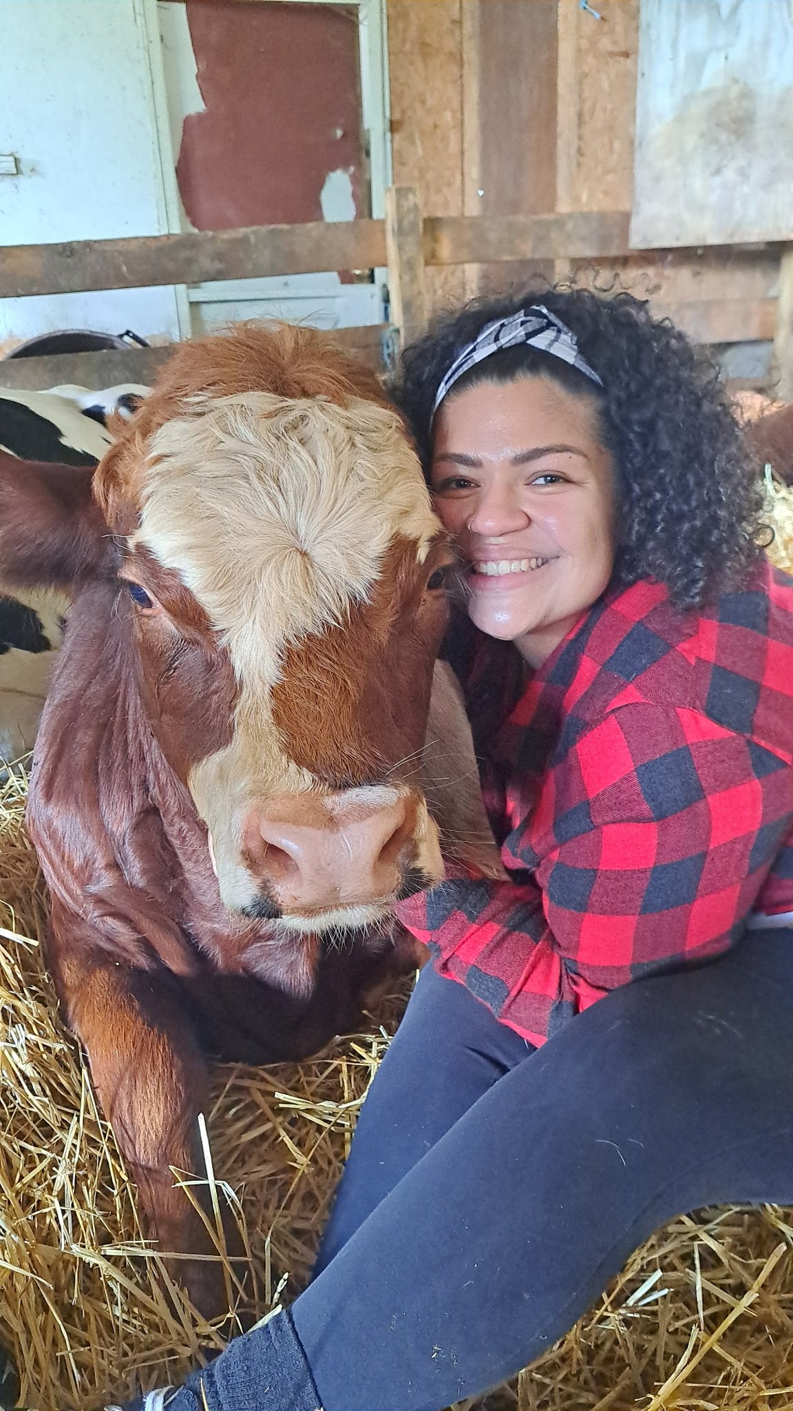 Help Luz Farms Recover from Barn Fire campaign photo, 4 of 8