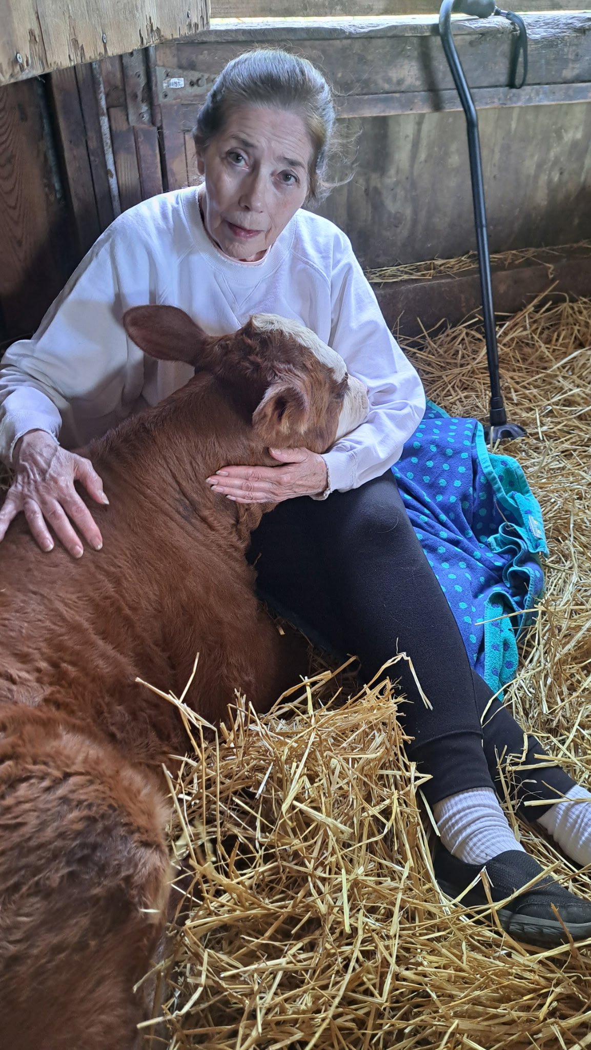 Help Luz Farms Recover from Barn Fire campaign photo, 7 of 8