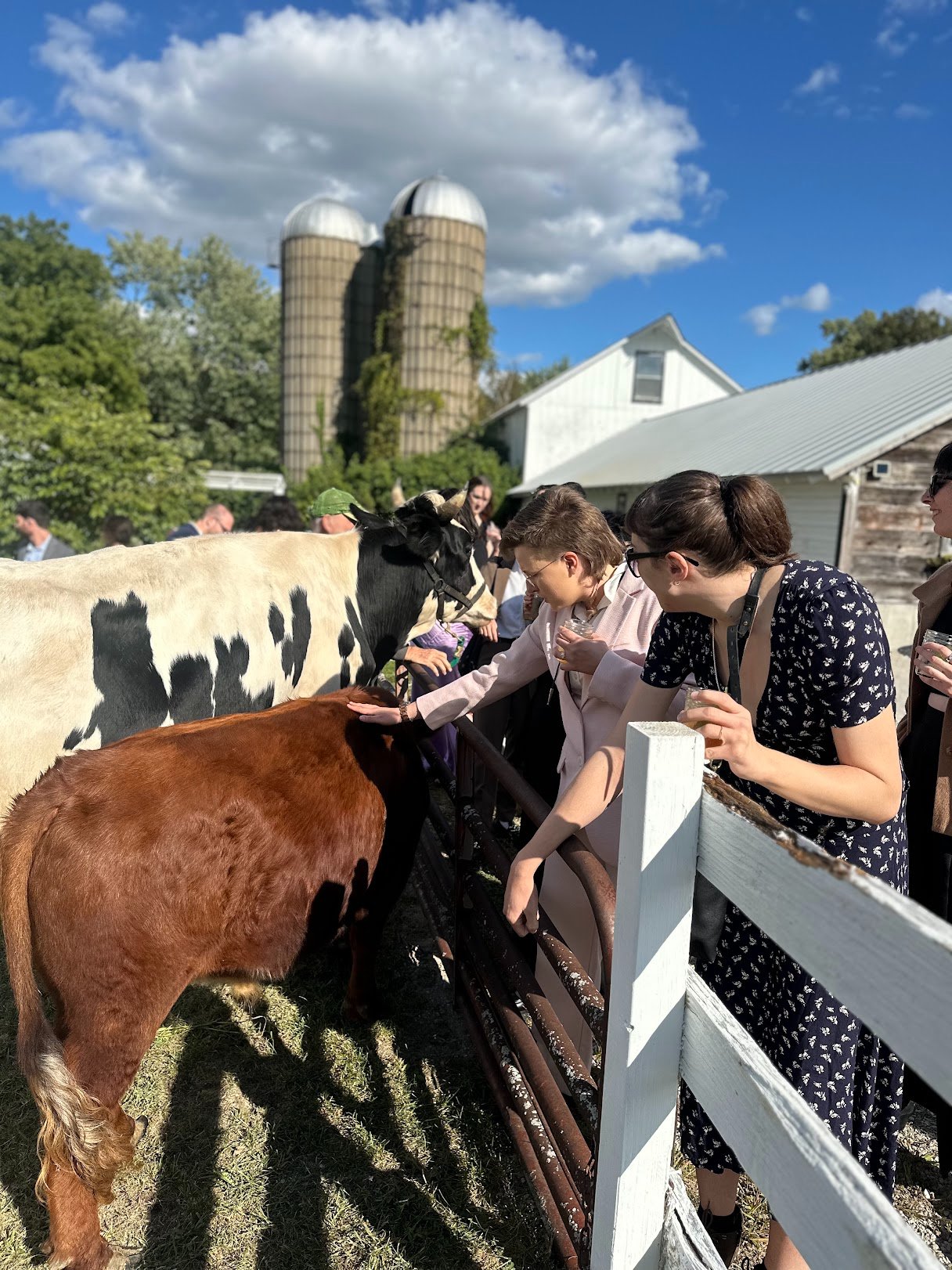 Help Luz Farms Recover from Barn Fire campaign photo, 5 of 8