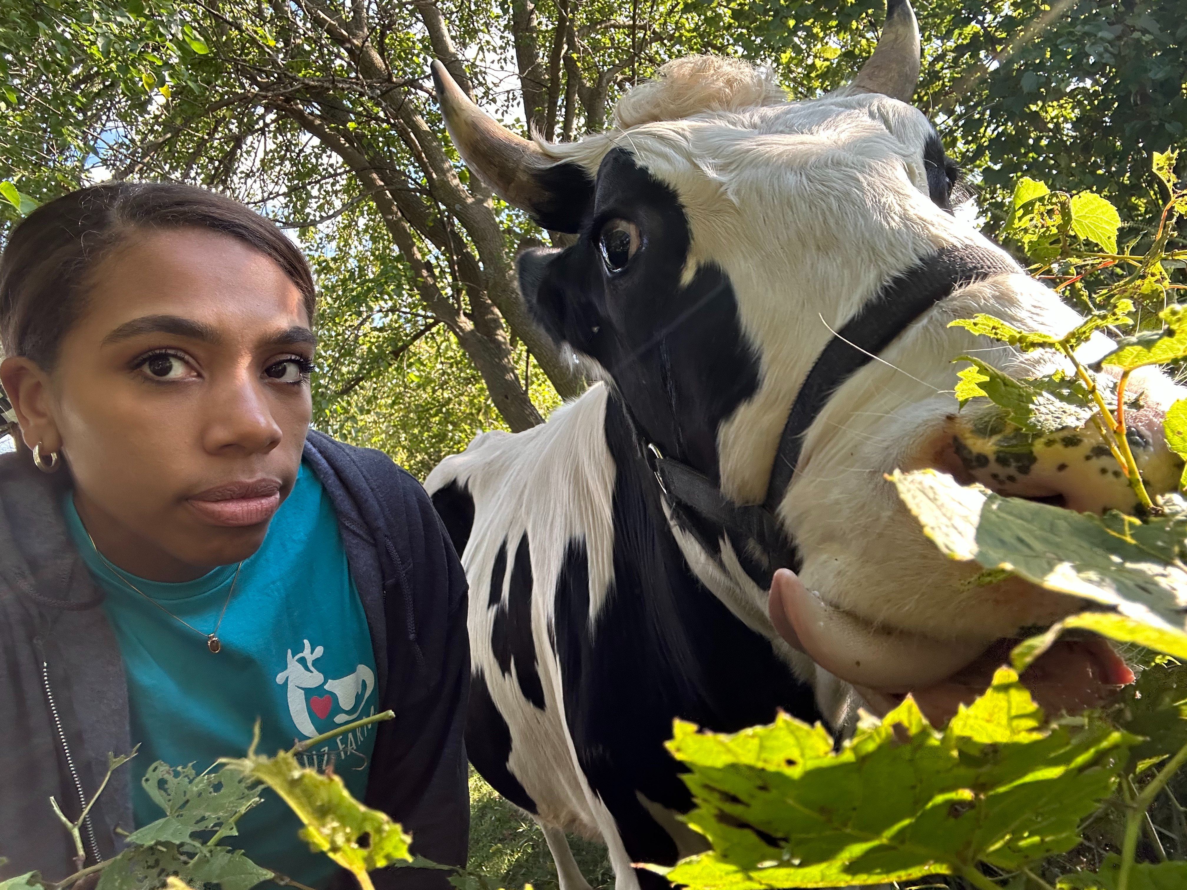 Help Luz Farms Recover from Barn Fire campaign photo, 6 of 8