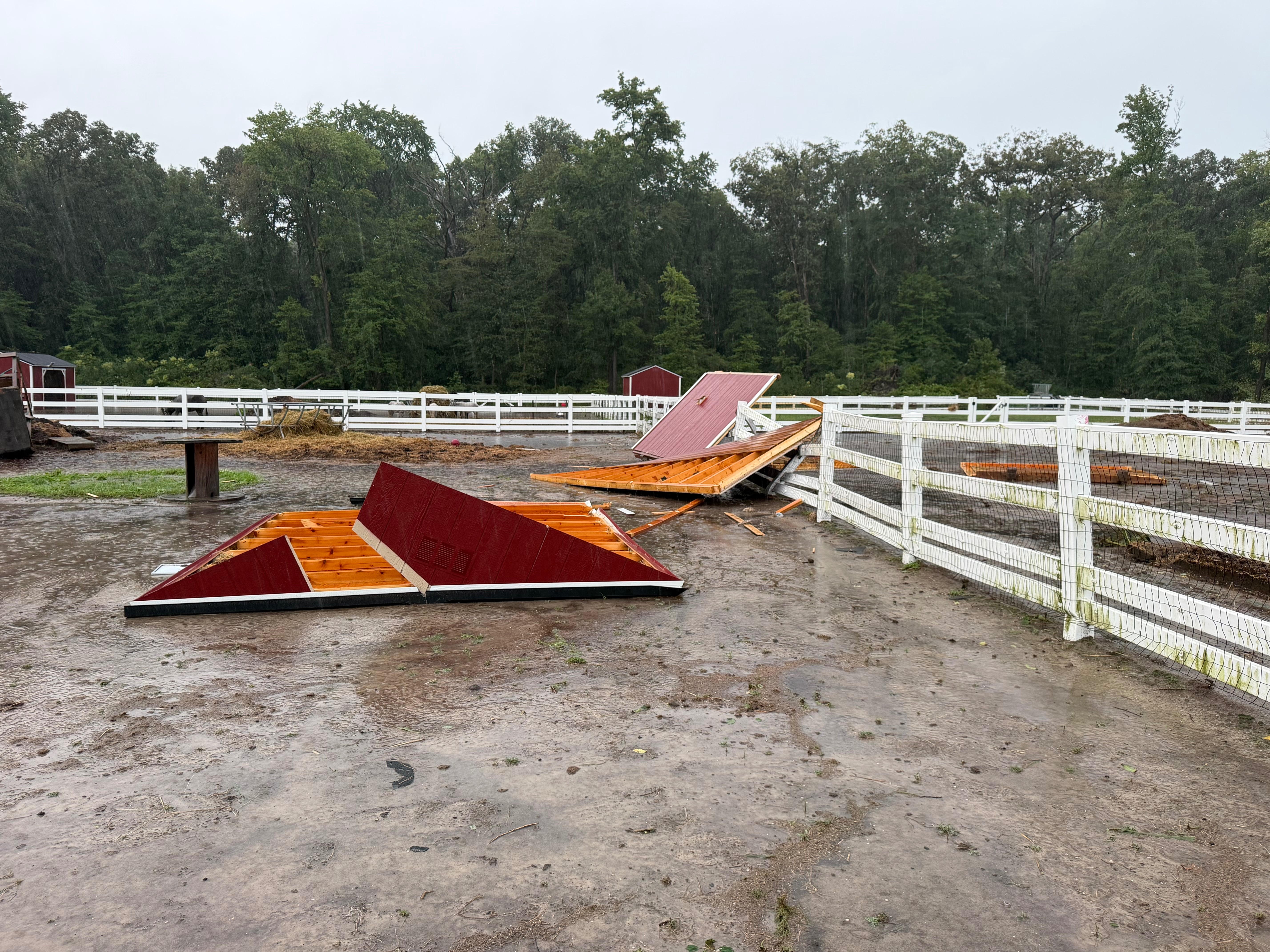 Rebuild The Little Farm After the Storm campaign photo, 5 of 8