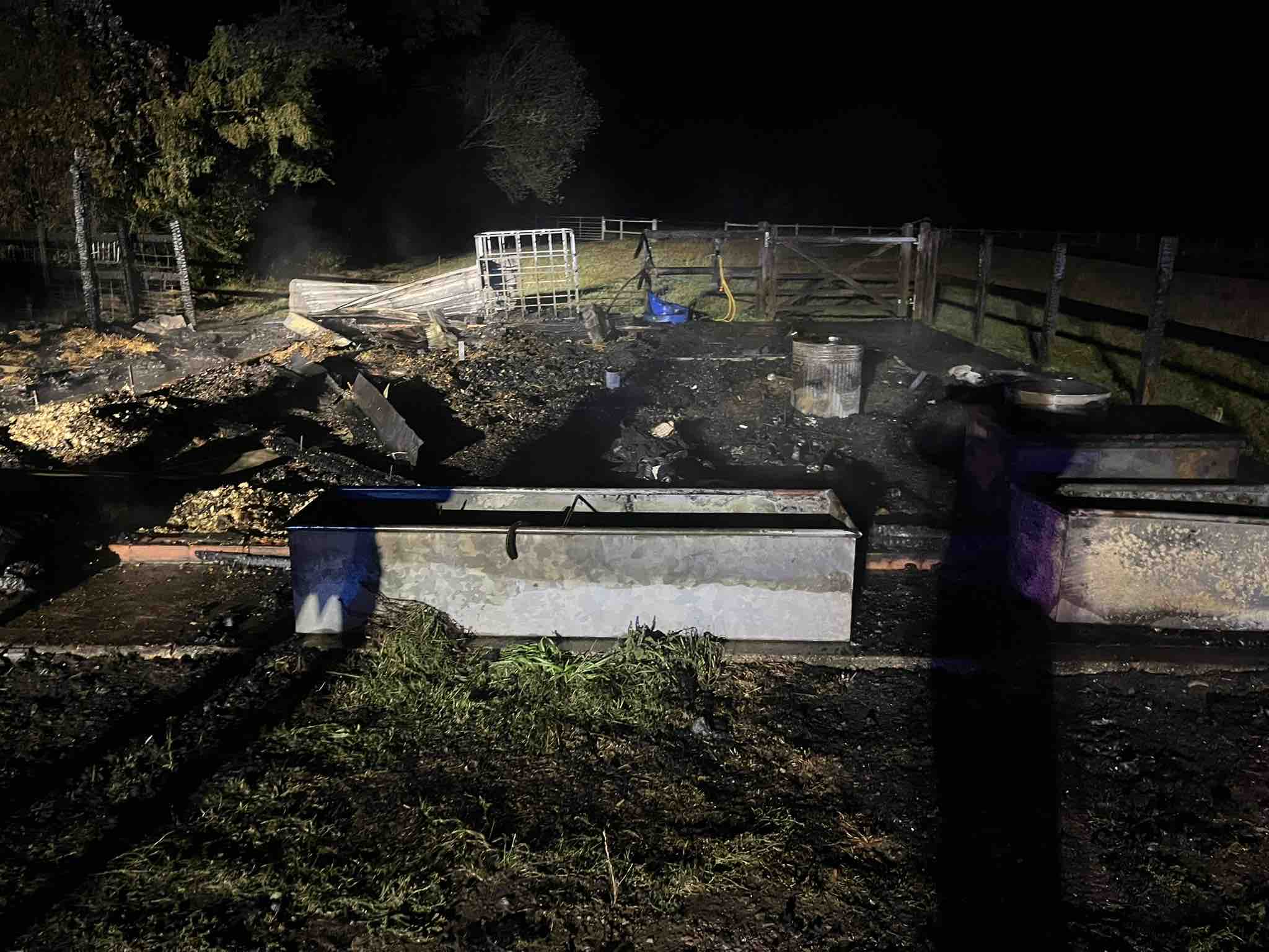 Help with my Mums stable yard after it burnt down campaign photo, 4 of 11