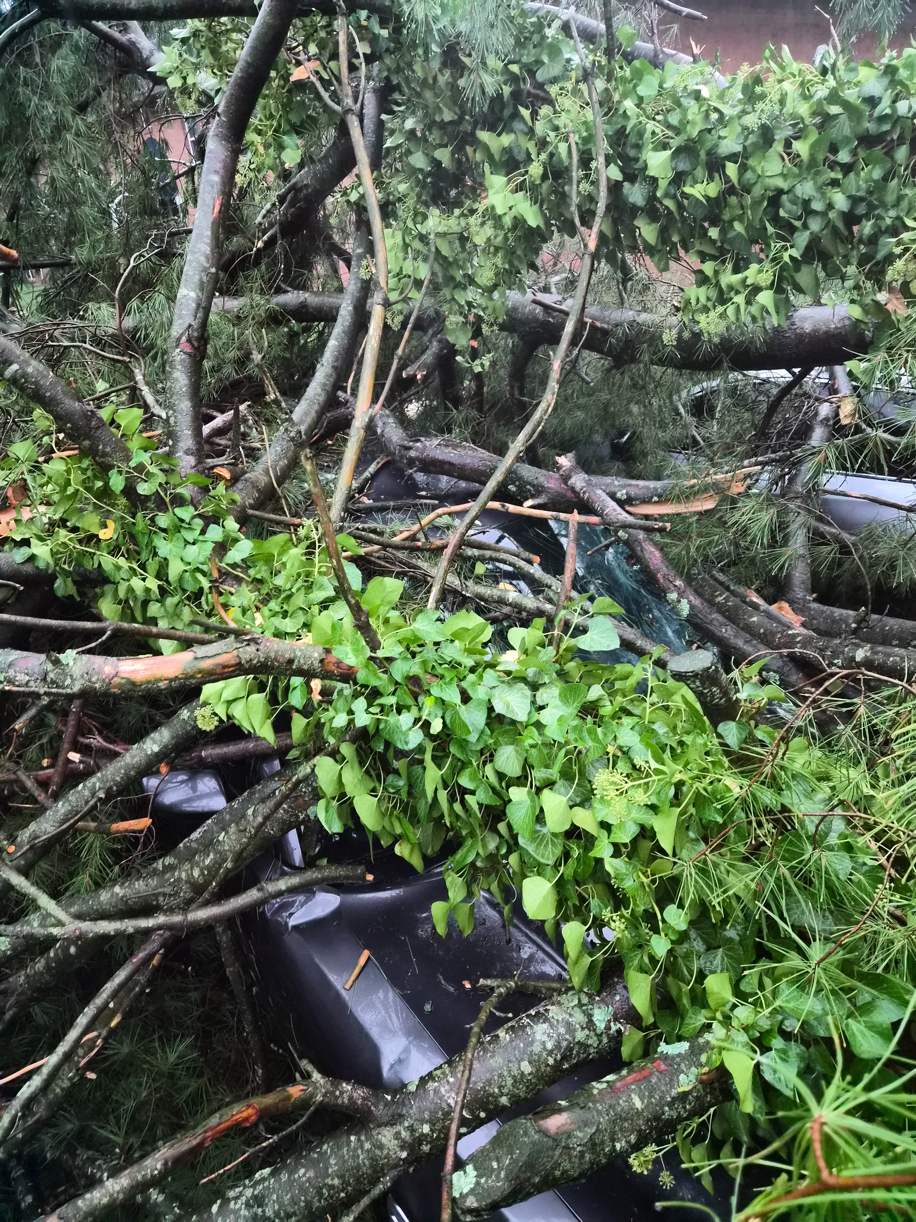 Support for EMT’s Car Loss After Dover Tornado campaign photo, 4 of 7