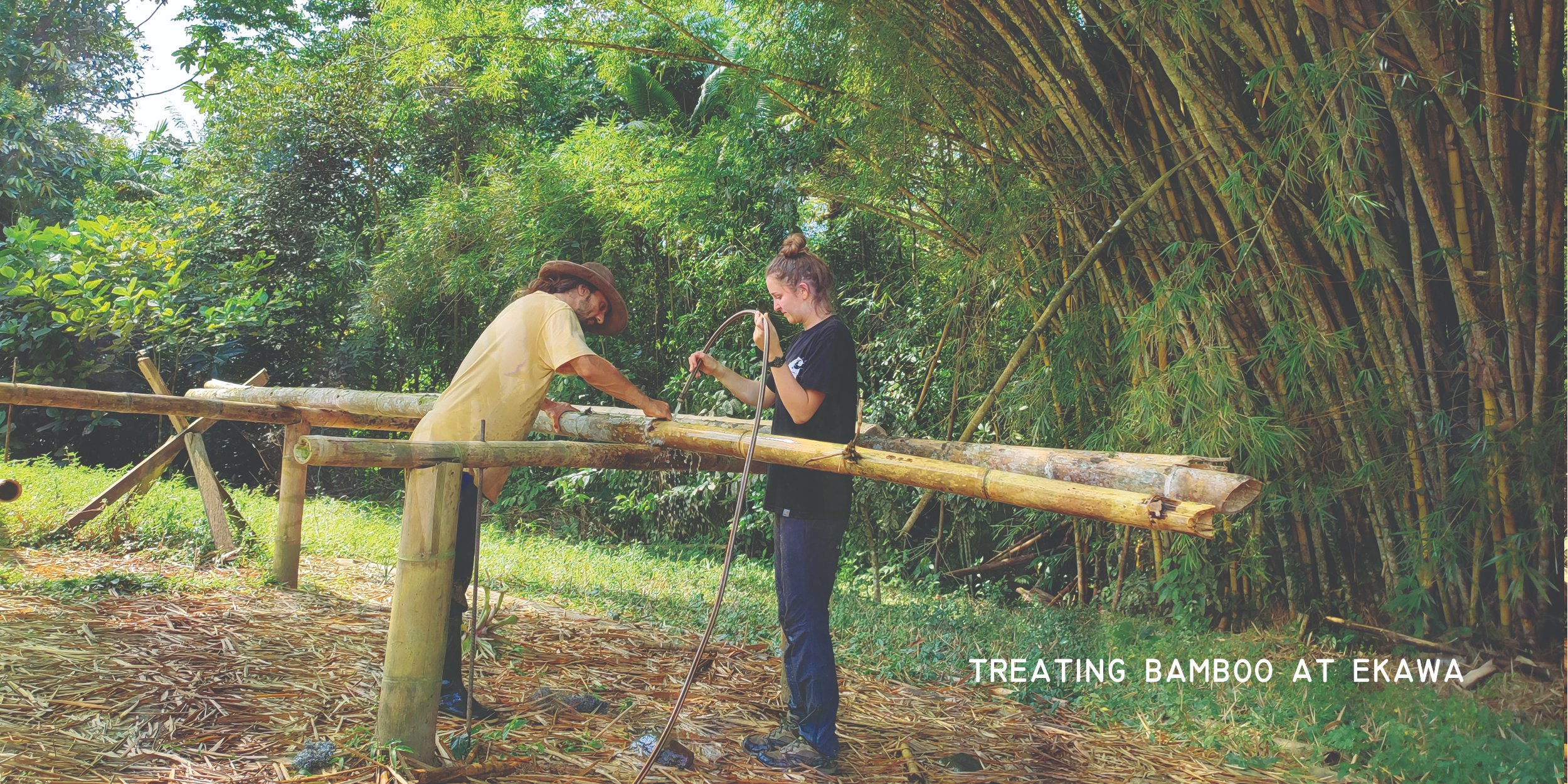 Bamboo shelters for earthquake relief in Colombia campaign photo, 5 of 8