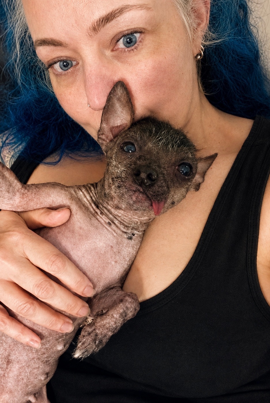 Help Roxy Get Emergency Pyometra Surgery and Care campaign photo, 4 of 8