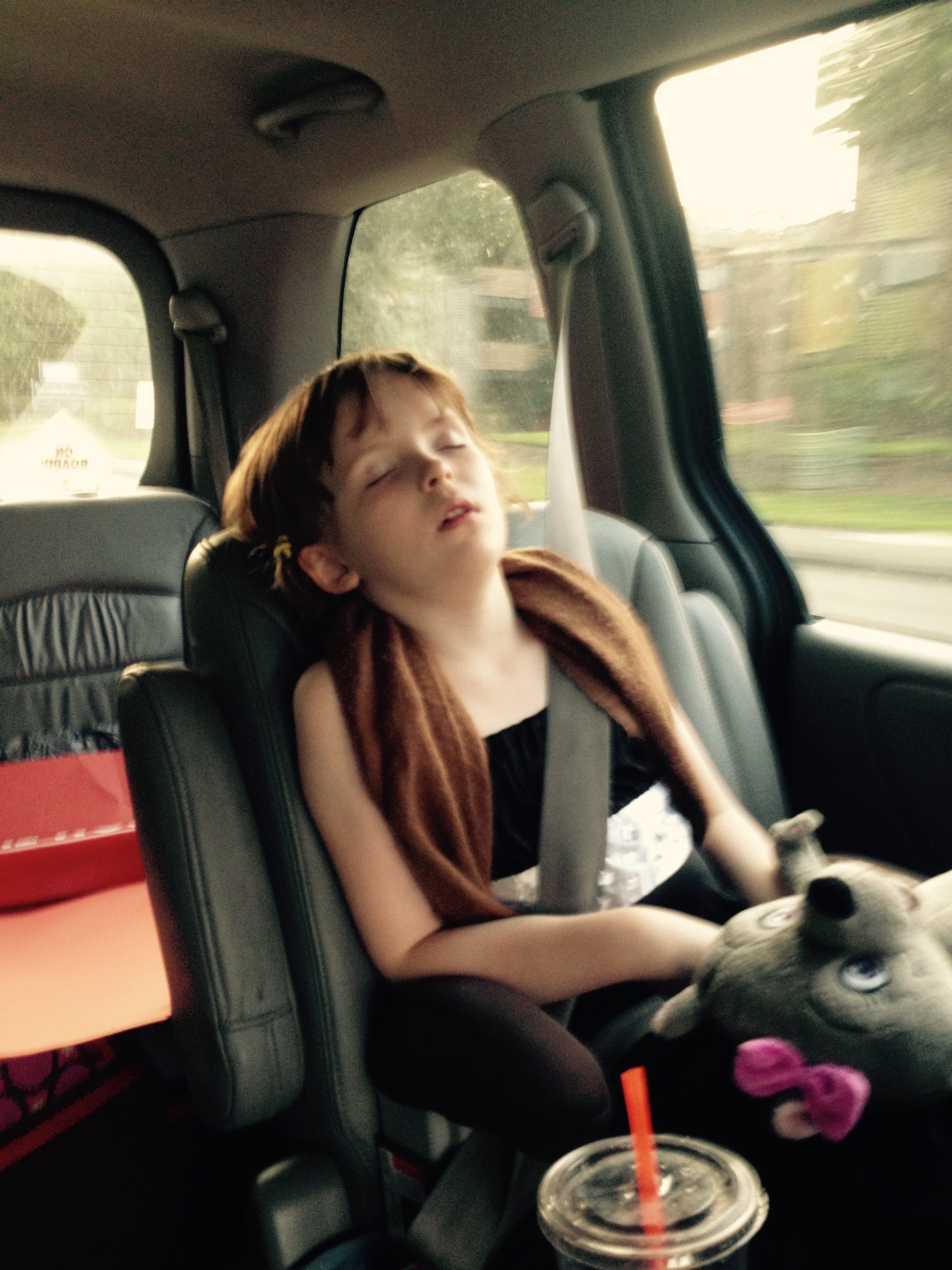 Help Us Create Aeries Memorial Bench campaign photo, 2 of 5