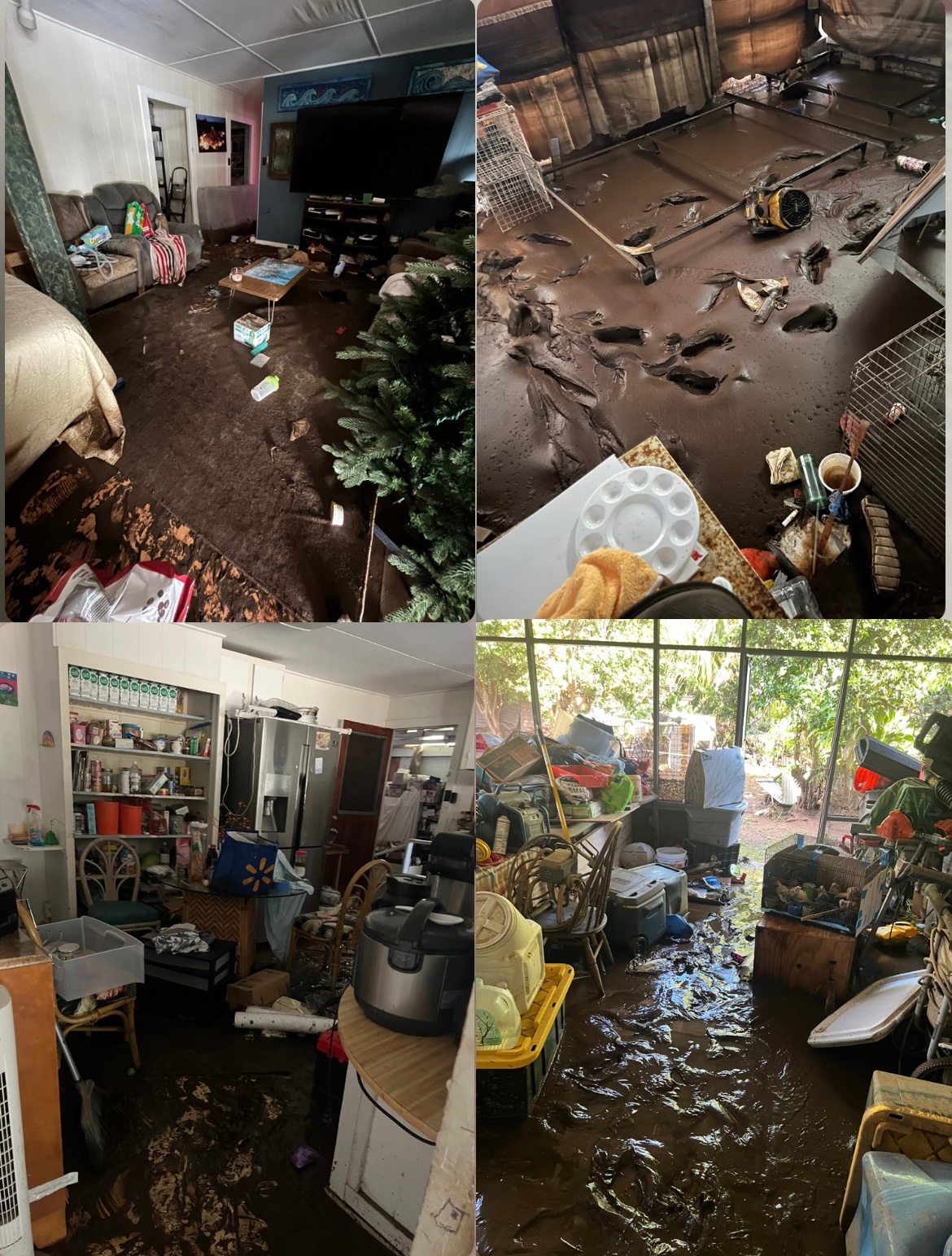 Help Mama Jolynn and ‘Ohana Recover After Losing Everything campaign photo, 5 of 8