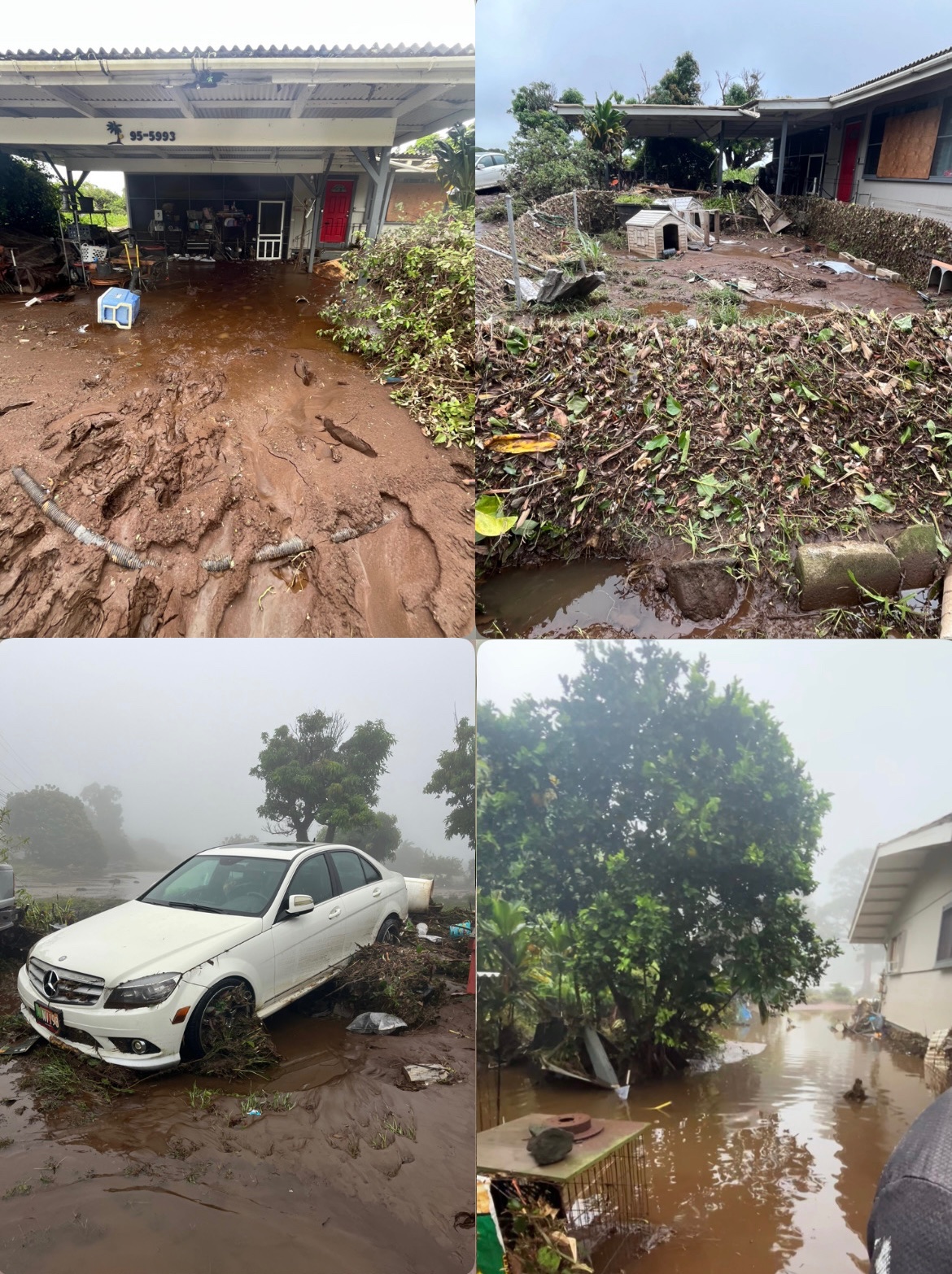 Help Mama Jolynn and ‘Ohana Recover After Losing Everything campaign photo, 4 of 8