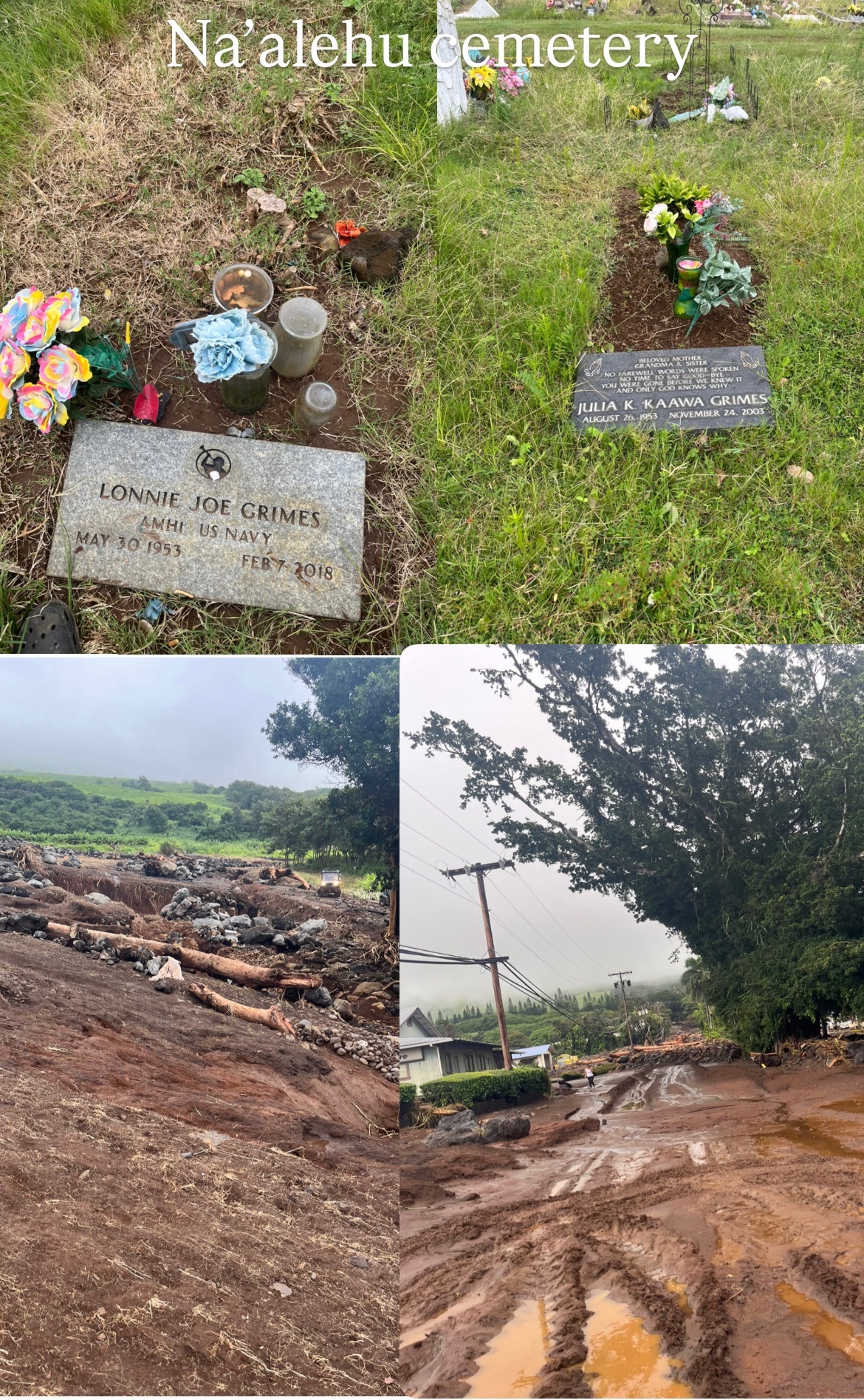 Help Mama Jolynn and ‘Ohana Recover After Losing Everything campaign photo, 6 of 8