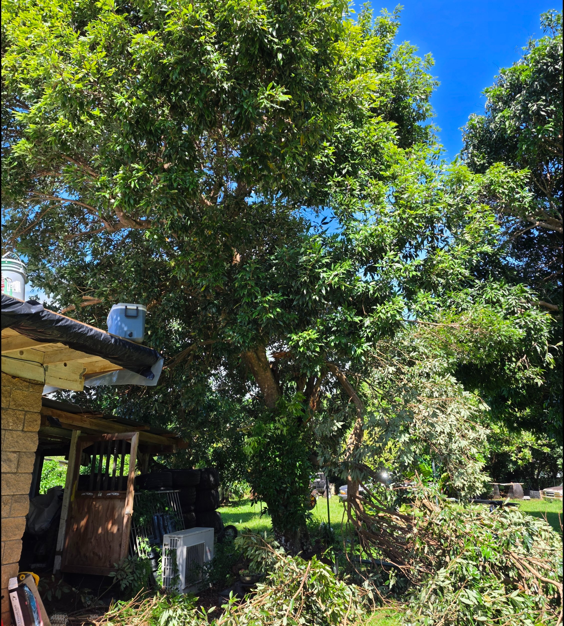 Help the Seyler Family Rebuild campaign photo, 2 of 10