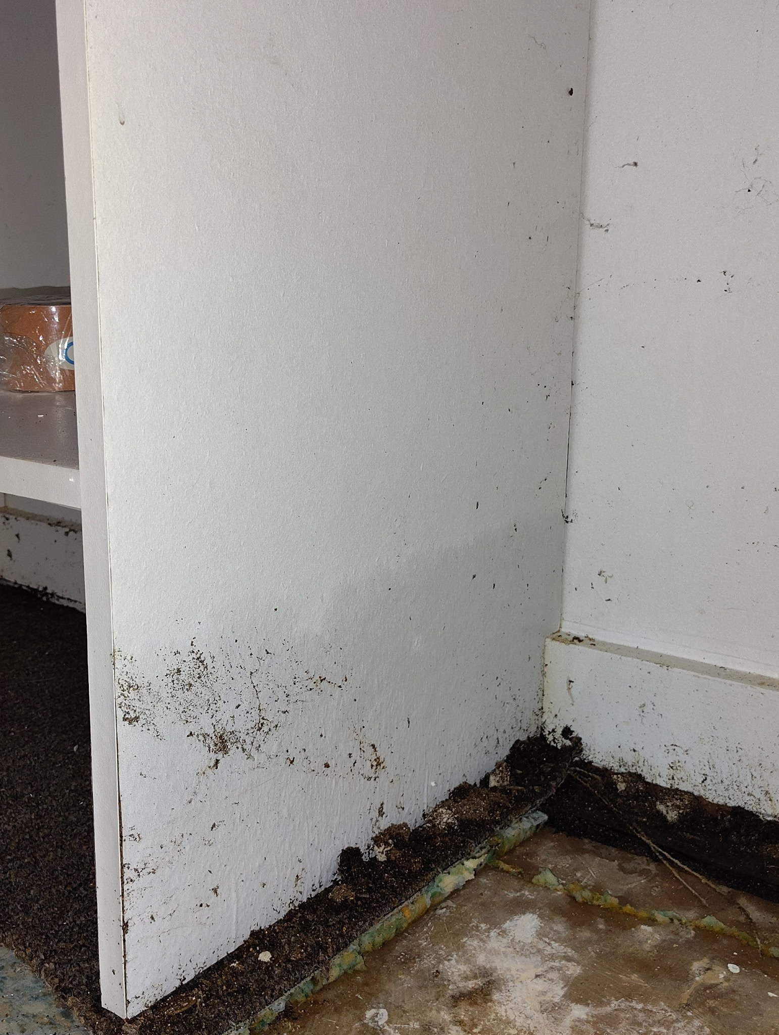Help the Seyler Family Rebuild campaign photo, 5 of 10