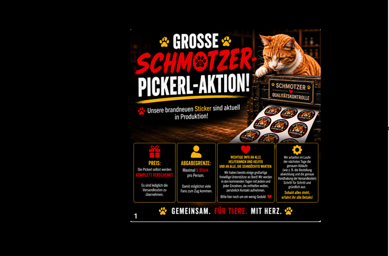 Schmotzer muss auf die Strasse campaign photo, 2 of 4