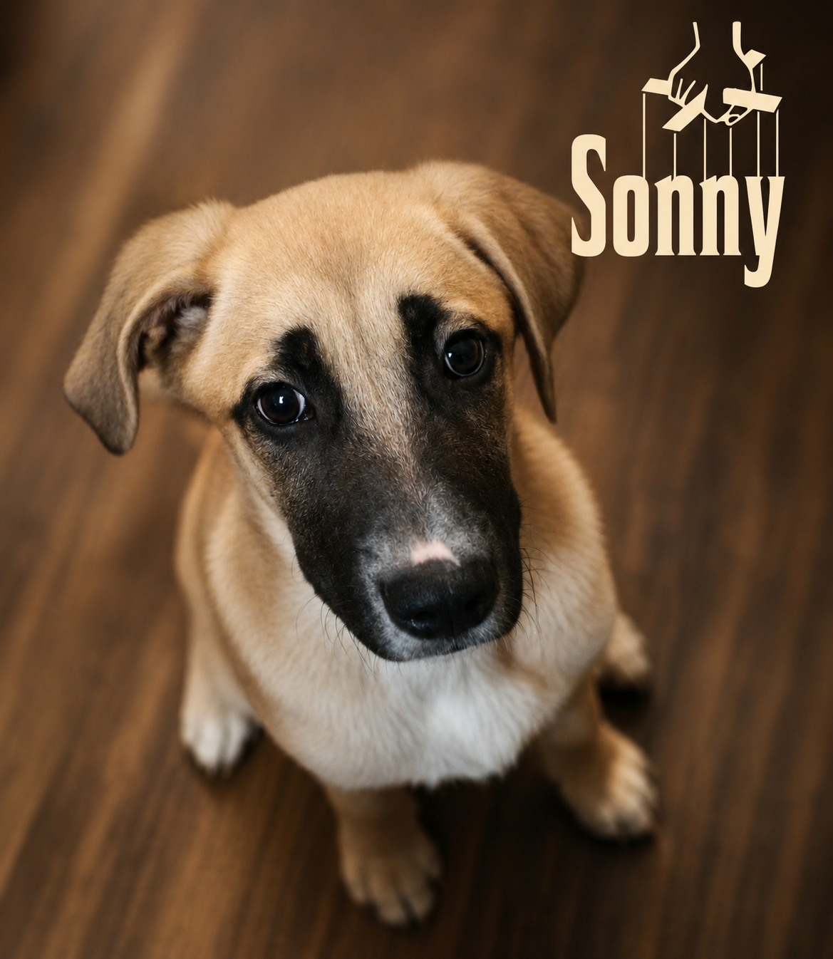 Support Sonny's Fight for Recovery campaign photo, 2 of 5