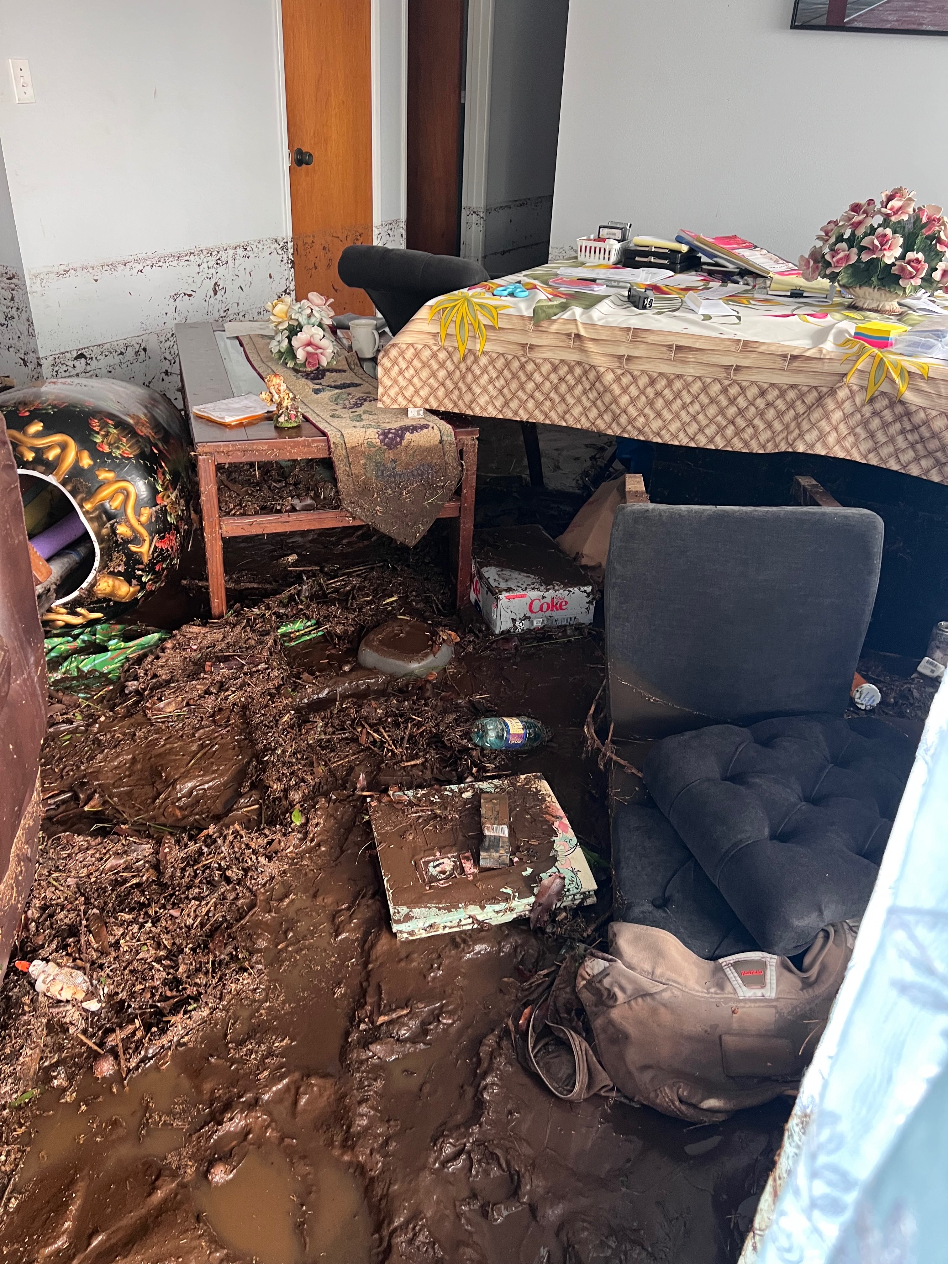 Help Leo and Hermie Rebuild after Hurricane Lala campaign photo, 2 of 8