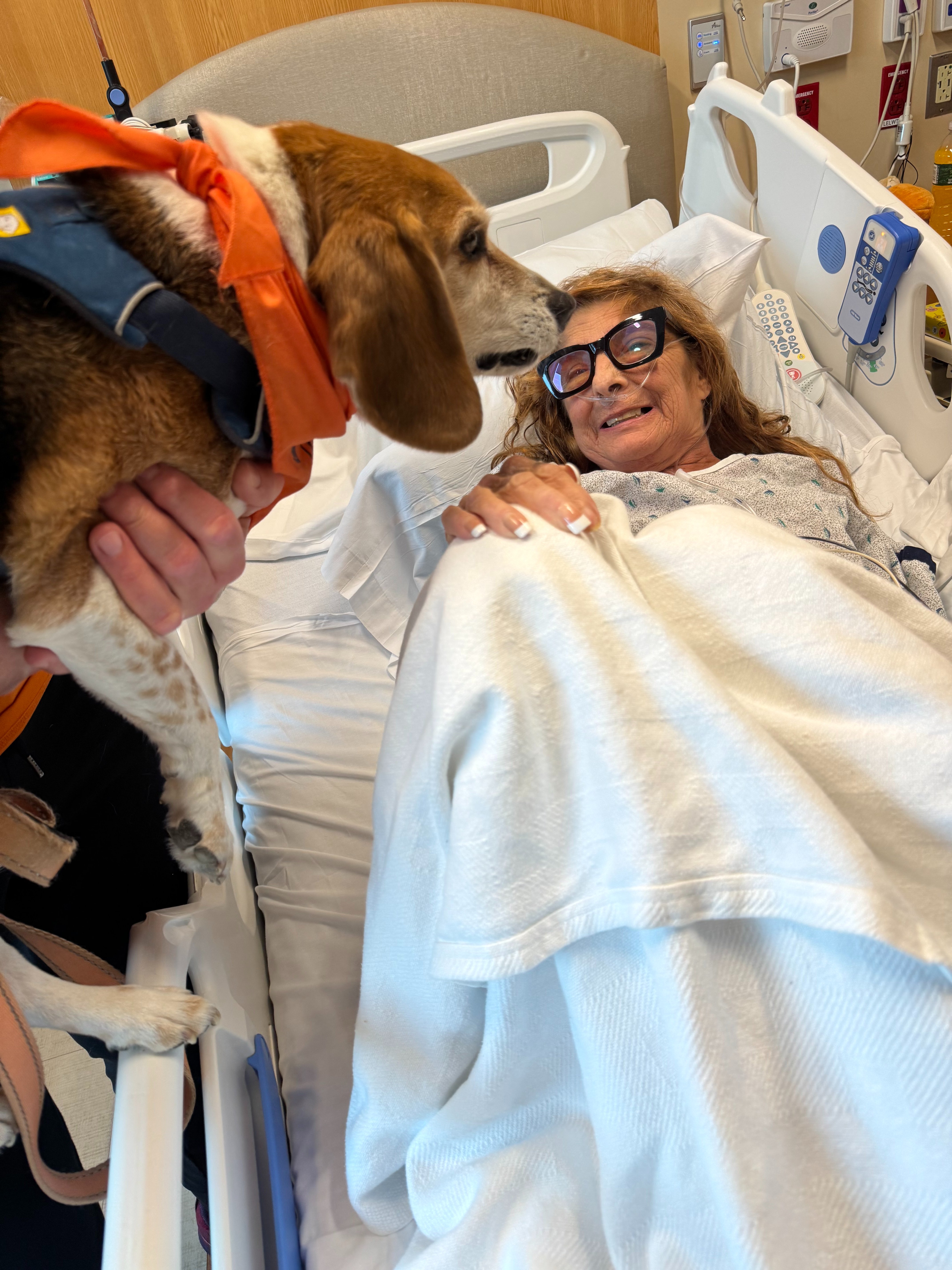 Support Mama P family during this difficult time campaign photo, 12 of 13