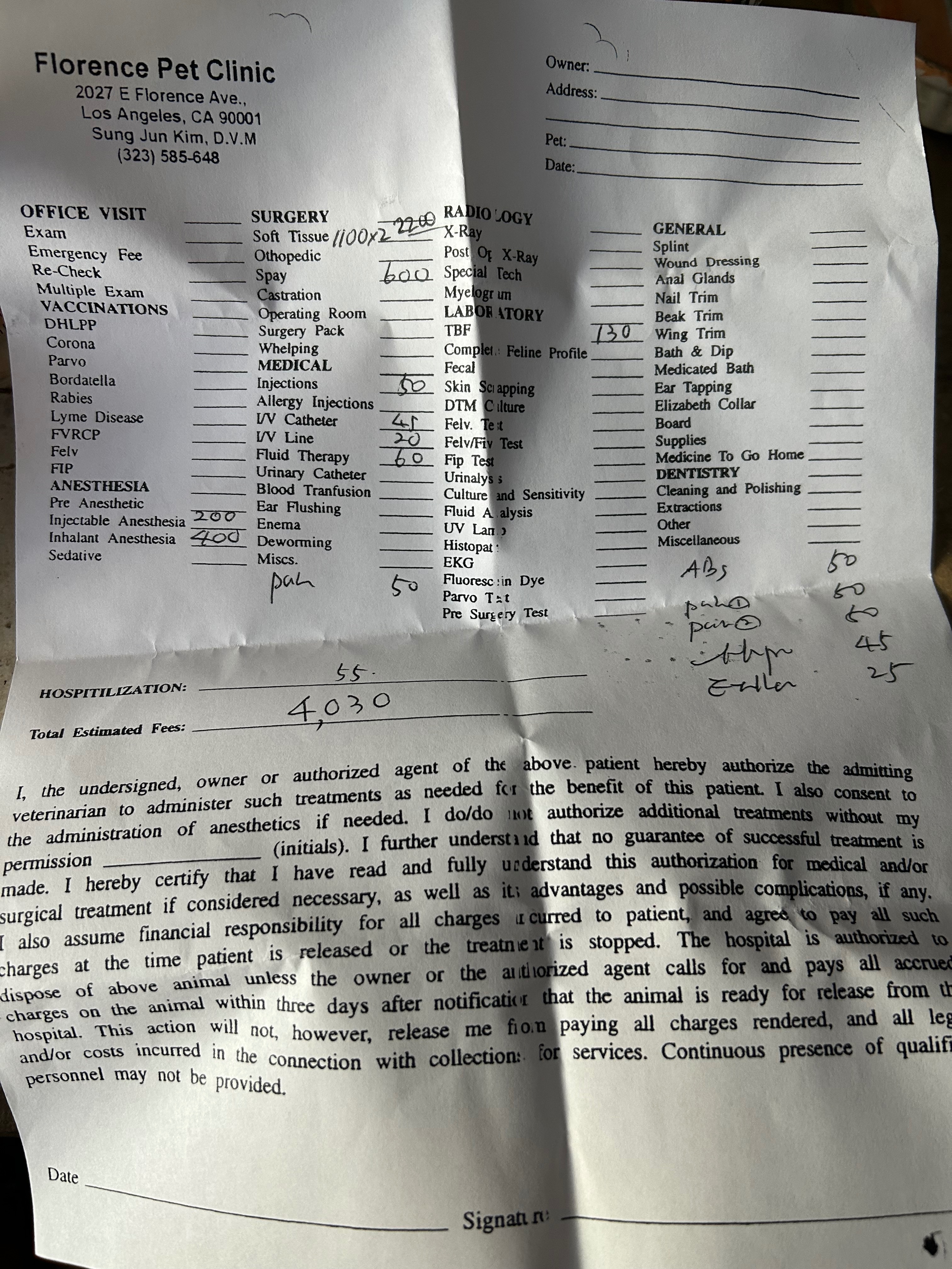 Help Jojo Get Urgent Surgery campaign photo, 2 of 5
