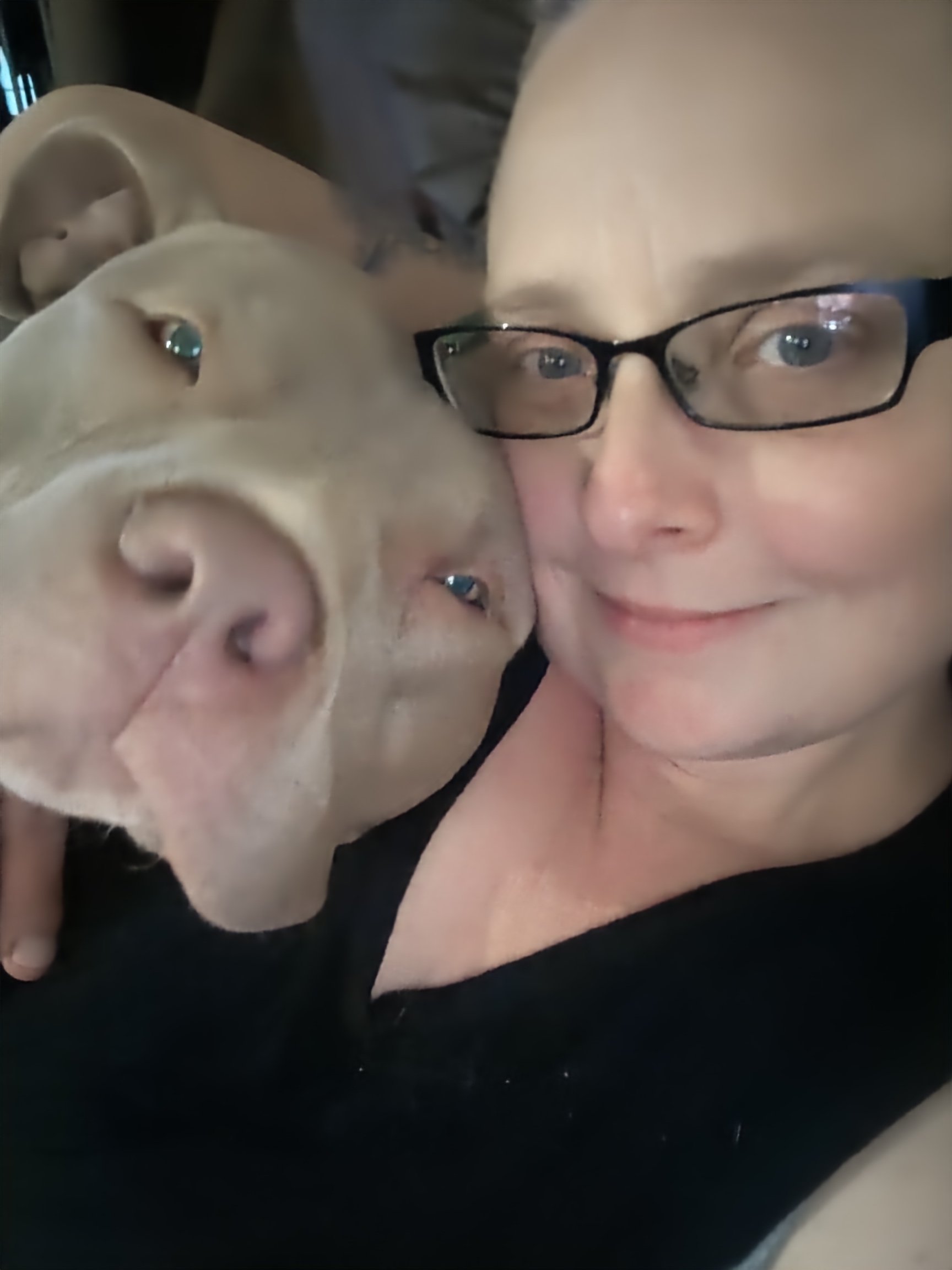 Help Meatball recover from perineal hernia surgery campaign photo, 10 of 11