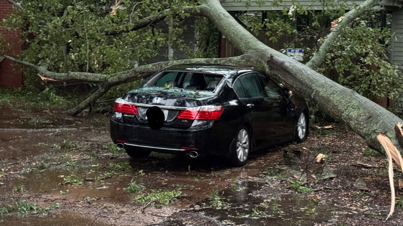 The recent storm left us homeless and without transportation campaign photo, 7 of 8