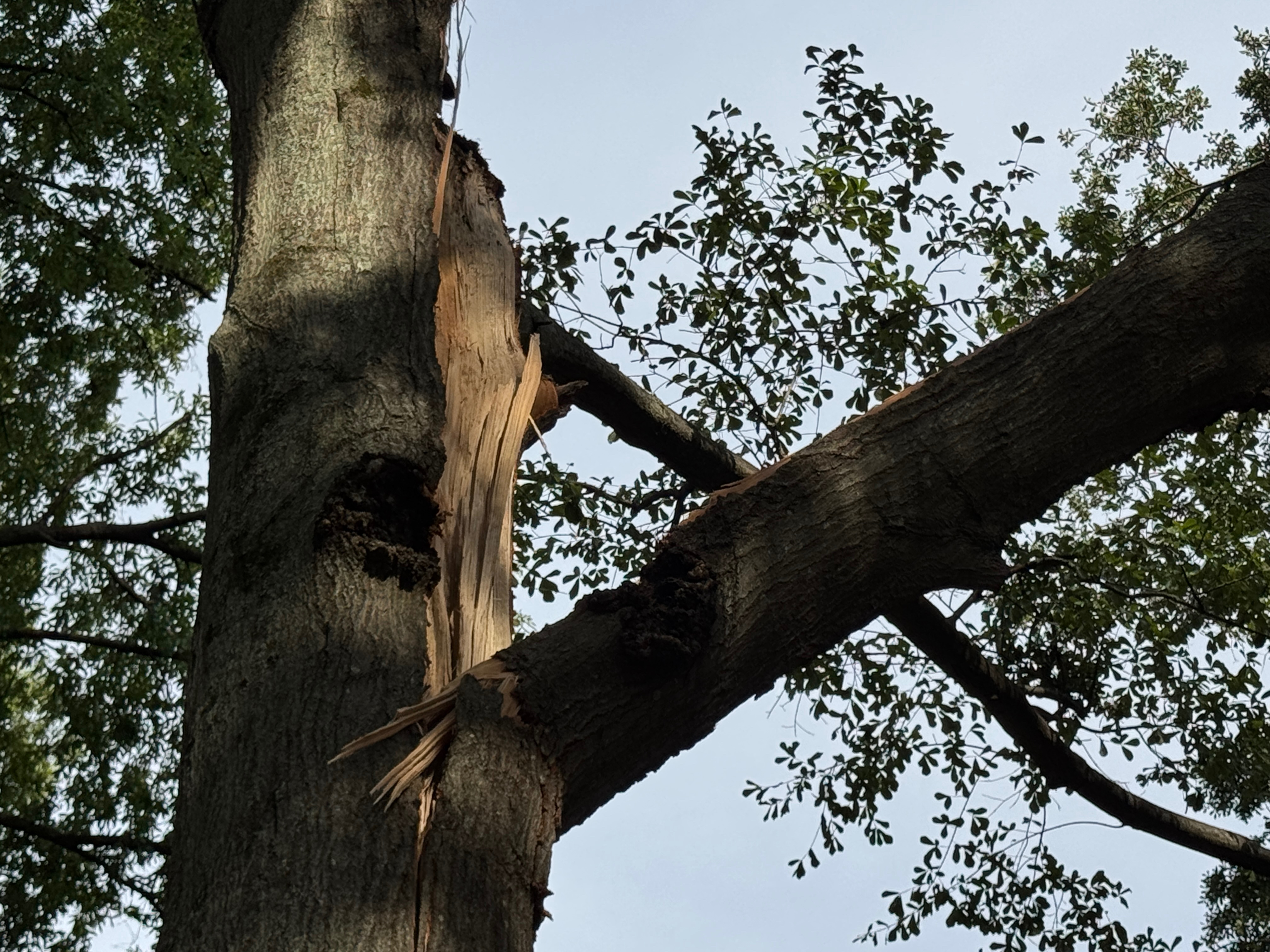 The recent storm left us homeless and without transportation campaign photo, 4 of 8