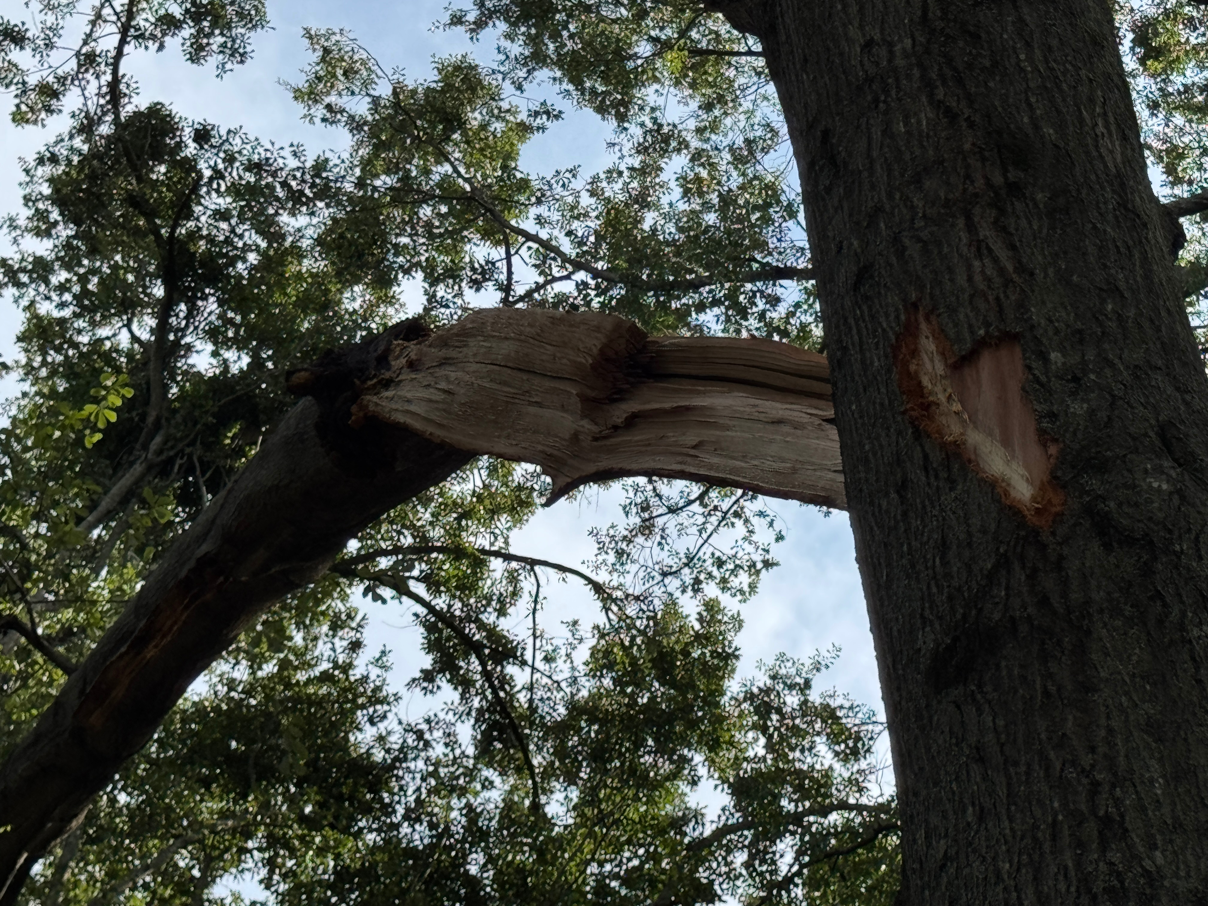 The recent storm left us homeless and without transportation campaign photo, 5 of 8