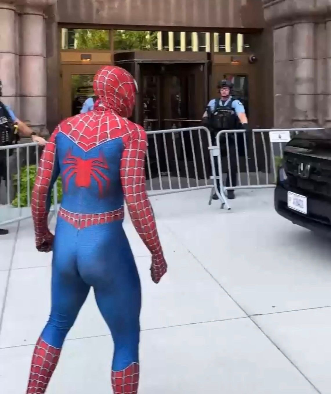 Support Spider-Man’s Legal Defense campaign photo, 2 of 5