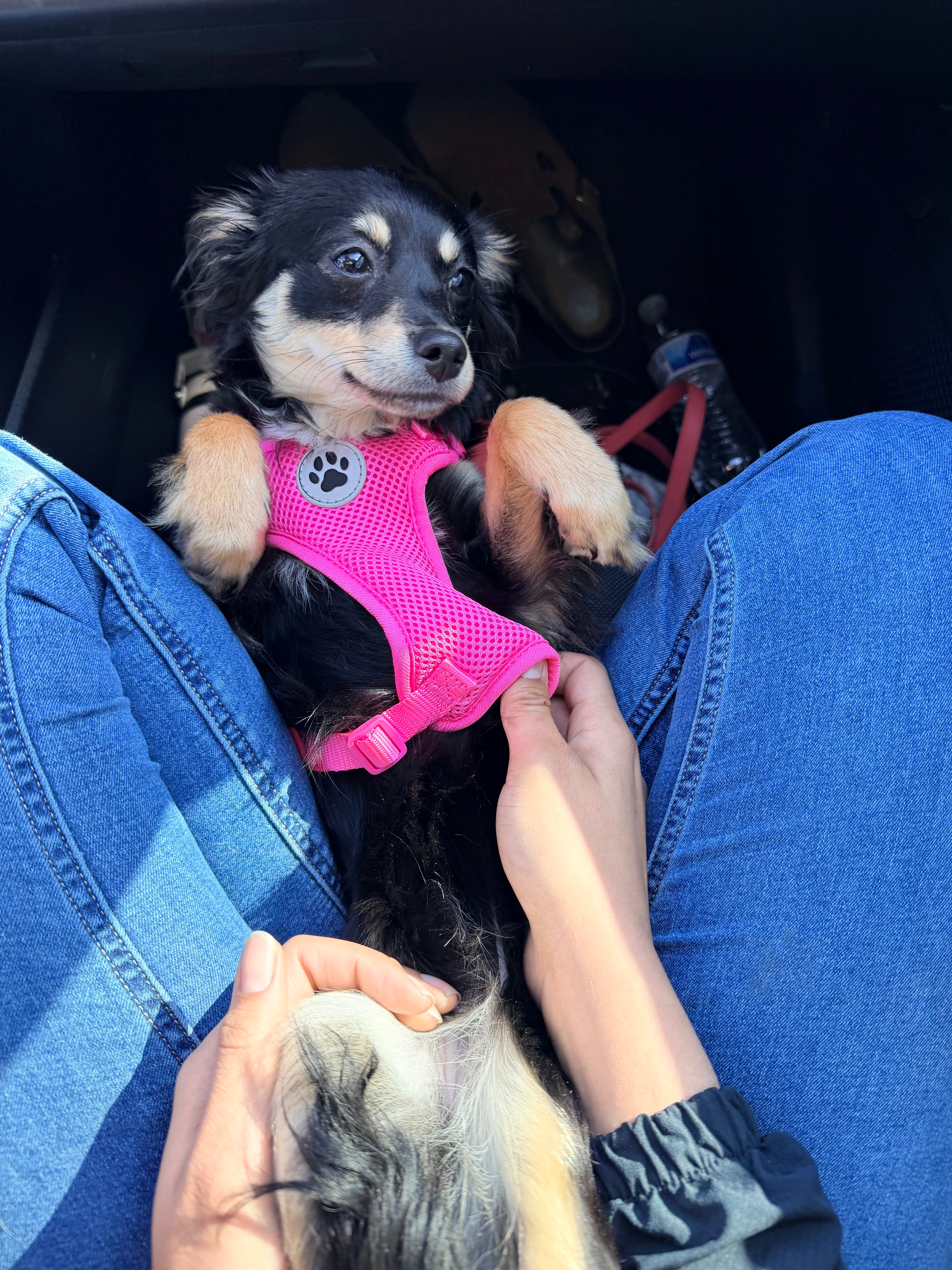 From Surgery to Wildfire: Help Our Family Recover campaign photo, 6 of 8