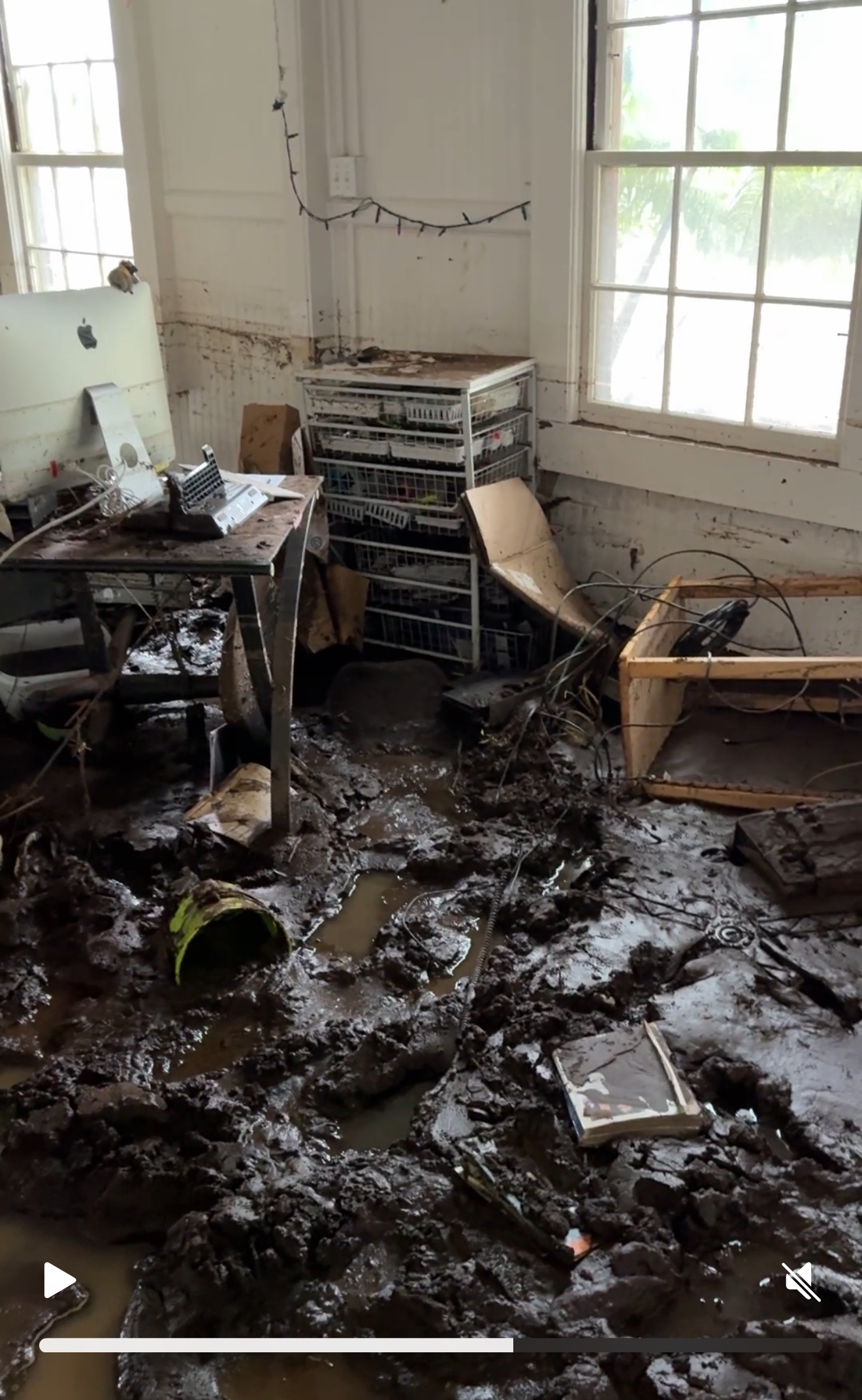 Help Restore Kaʻū Wellness After Hurricane Lala campaign photo, 4 of 8