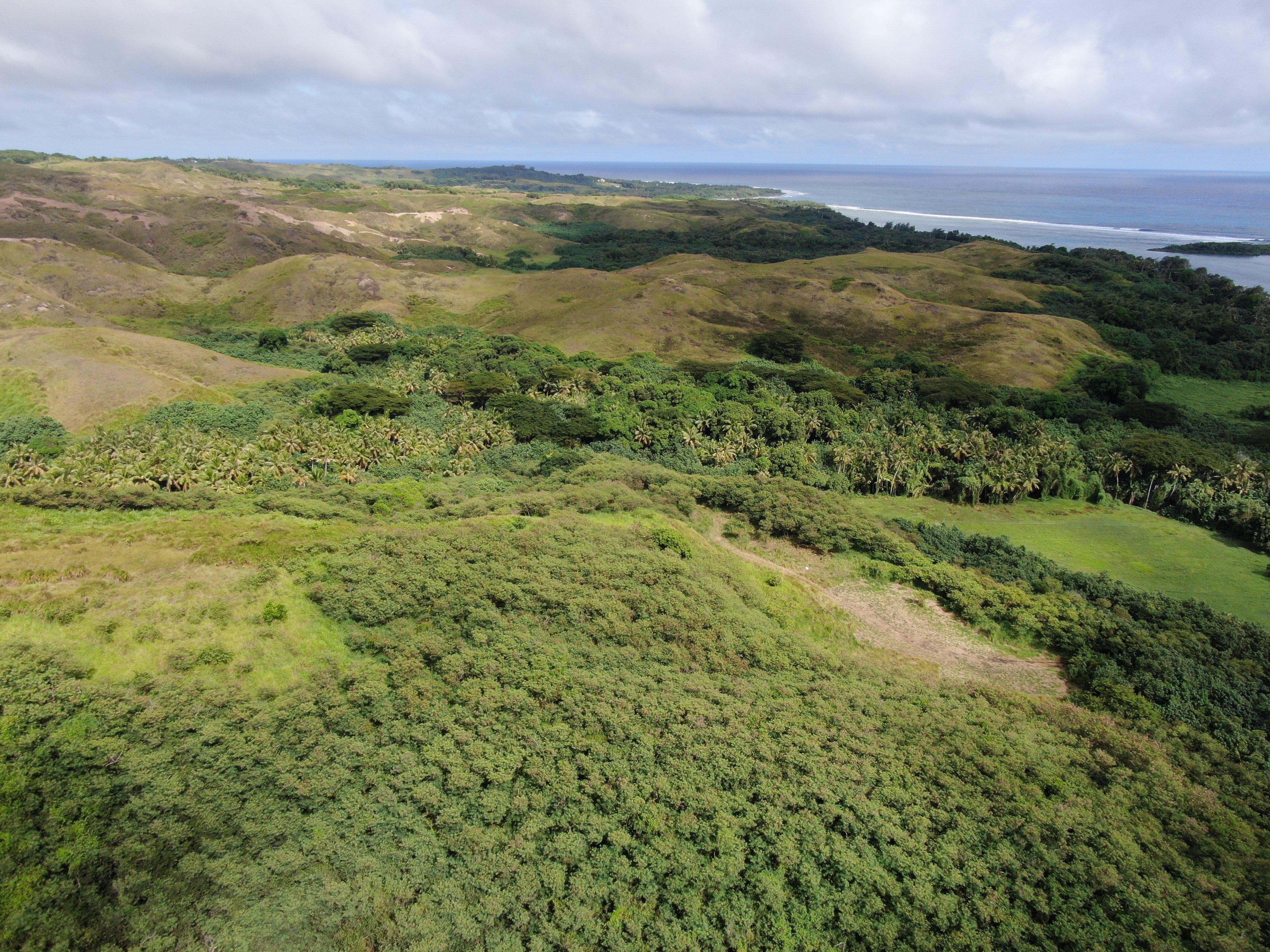 Protect Guam One Acre at a Time campaign photo, 5 of 6
